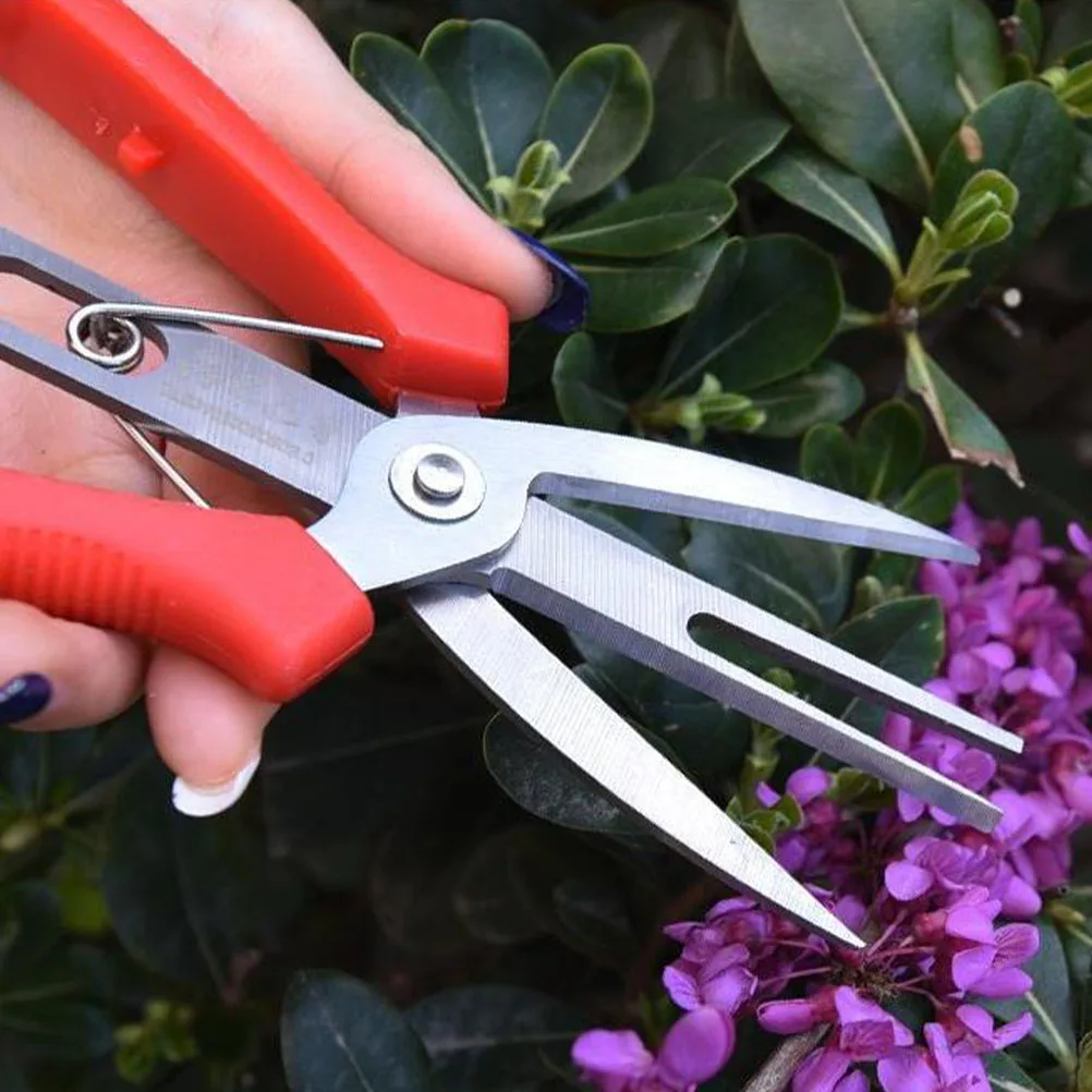 1 High-quality Pruning Shear Double Mouth Scissors Stainless Steel Gardening Supplies Fruit Tree Scissor Non-slip Handle
1 High-quality Pruning Shear Double Mouth Scissors Stainless Steel Gardening Supplies Fruit Tree Scissor Non-slip Handle