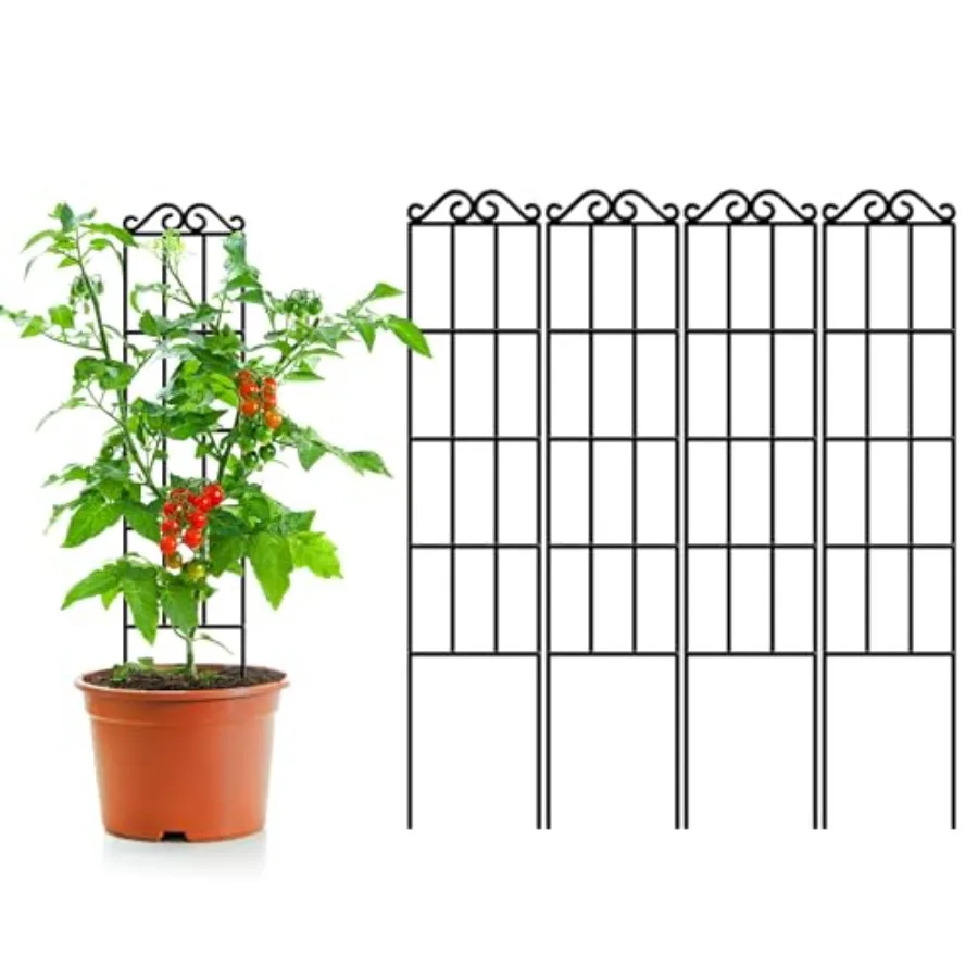 Metal Garden Trellis for Climbg Plants, Pack of 4 door/Outdoor Sturdy Plant Trellis for Potted Plants, House Plants, Climbg Ves
Metal Garden Trellis for Climbg Plants, Pack of 4 door/Outdoor Sturdy Plant Trellis for Potted Plants, House Plants, Climbg Ves