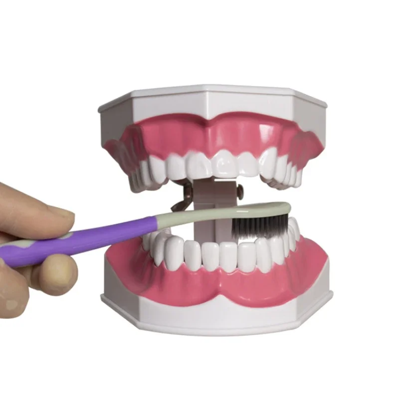 Children's Tooth Brushing 2x Large Teaching Aids for Oral Care Teaching Dental Health Care Model Tooth Brushing Guidance
Children's Tooth Brushing 2x Large Teaching Aids for Oral Care Teaching Dental Health Care Model Tooth Brushing Guidance