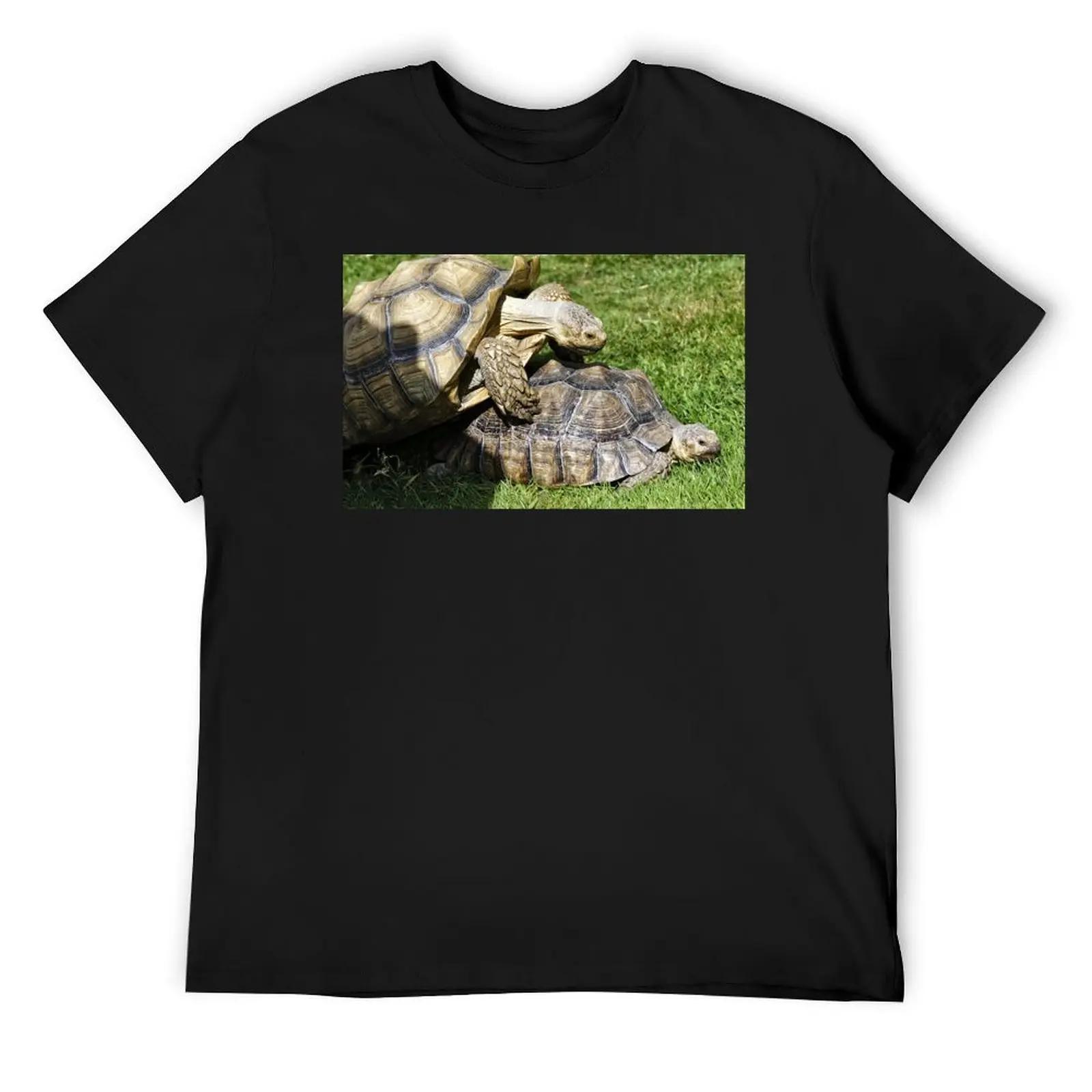 African spurred tortoise (Centrochelys sulcata) T-Shirt designer shirts plus sizes vintage t shirts men workout shirt
African spurred tortoise (Centrochelys sulcata) T-Shirt designer shirts plus sizes vintage t shirts men workout shirt