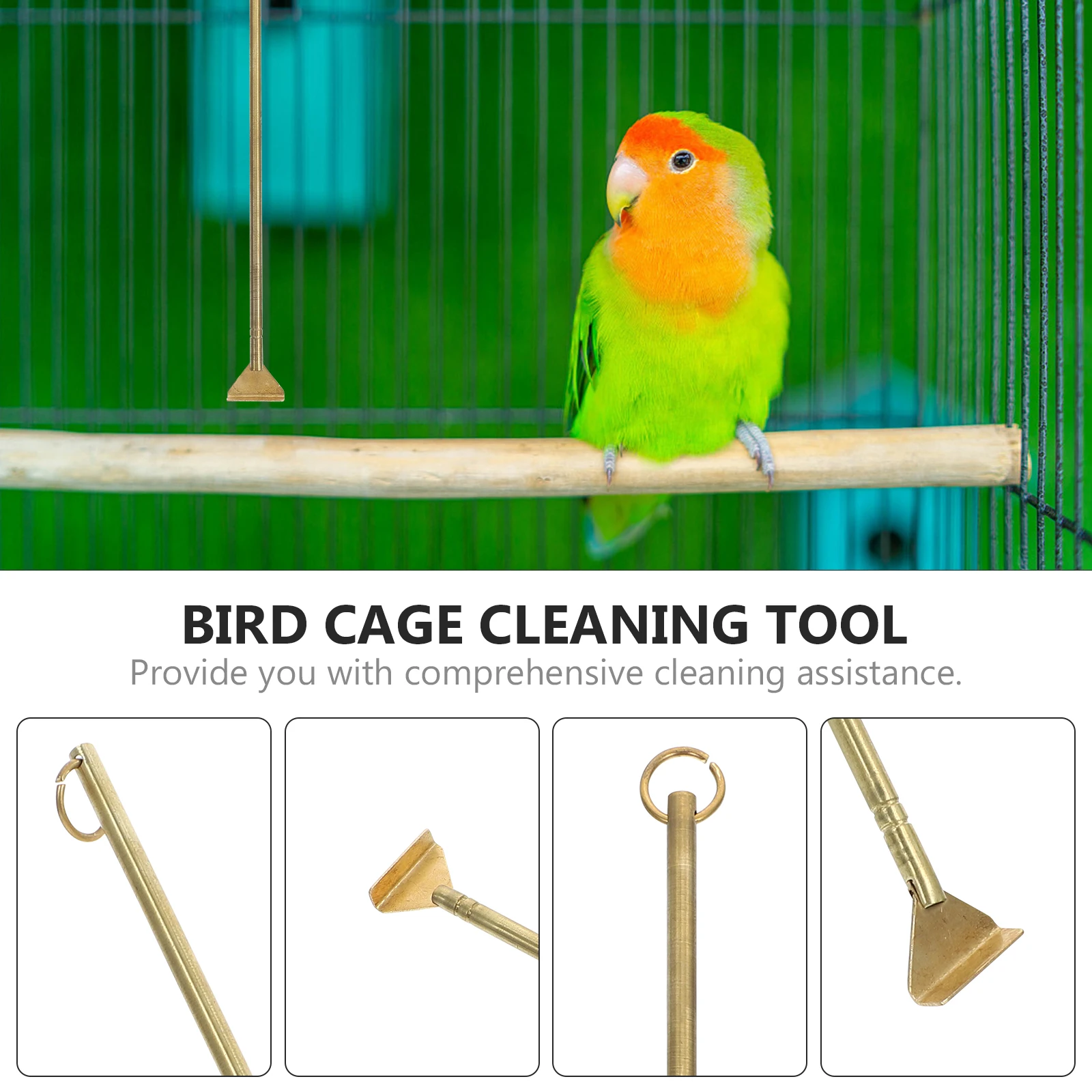 Bird Guano Cleaning Tools Long Handle Bird Cage Cleaner Pet Cage Cleaning Tool Brass Scrubber Sturdy Durable High Quality
Bird Guano Cleaning Tools Long Handle Bird Cage Cleaner Pet Cage Cleaning Tool Brass Scrubber Sturdy Durable High Quality
