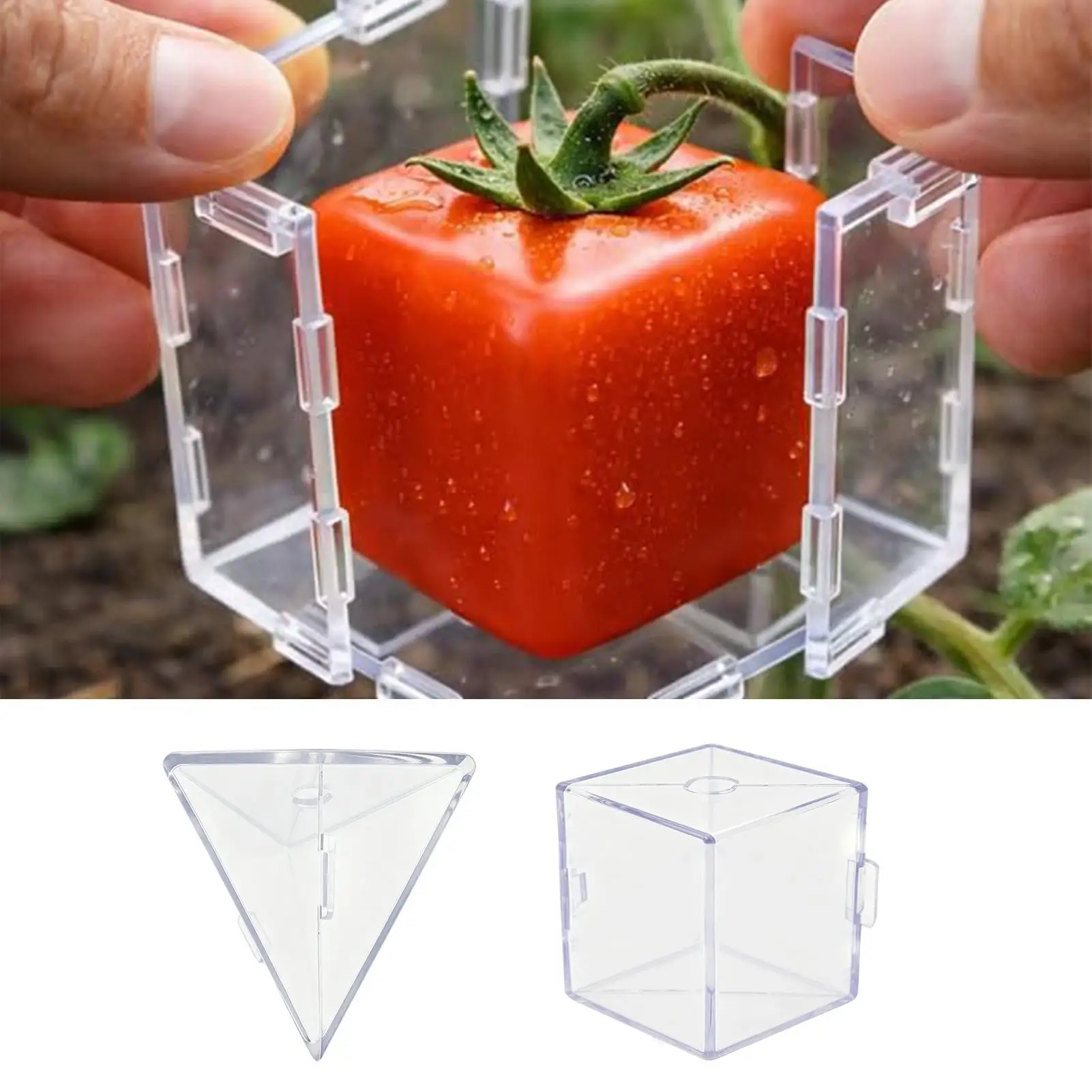 Mini Cube Triangle Fruit Shaping Mold Reusable Transparent Plastic Strawberry Tomato Growing Styling Tool Garden DIY
Mini Cube Triangle Fruit Shaping Mold Reusable Transparent Plastic Strawberry Tomato Growing Styling Tool Garden DIY