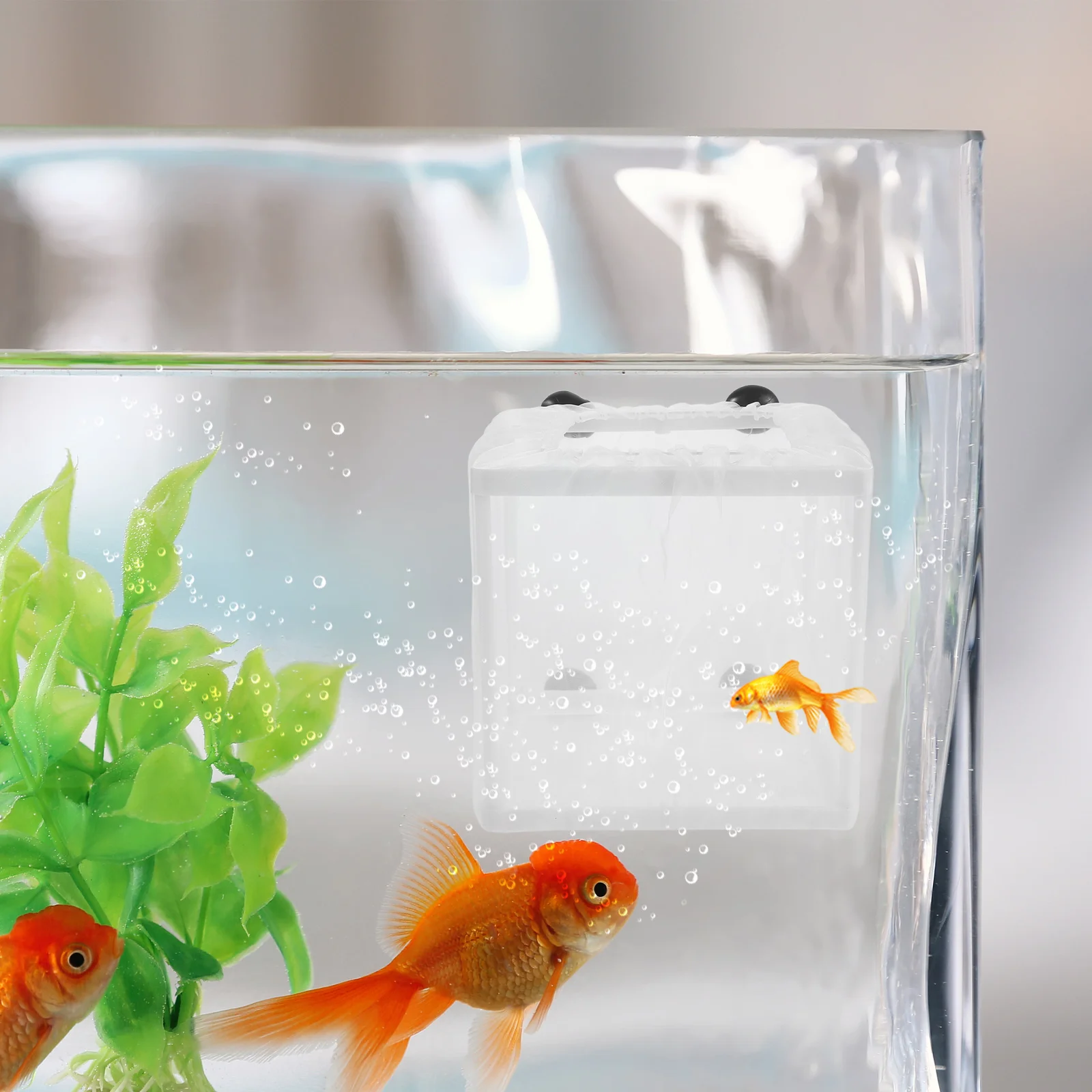 2Pcs Aquarium Breeding Box Floating Isolation Chamber with Breathable Mesh for Guppy Fish Hatchery Small Pet Incubator Tank
2Pcs Aquarium Breeding Box Floating Isolation Chamber with Breathable Mesh for Guppy Fish Hatchery Small Pet Incubator Tank