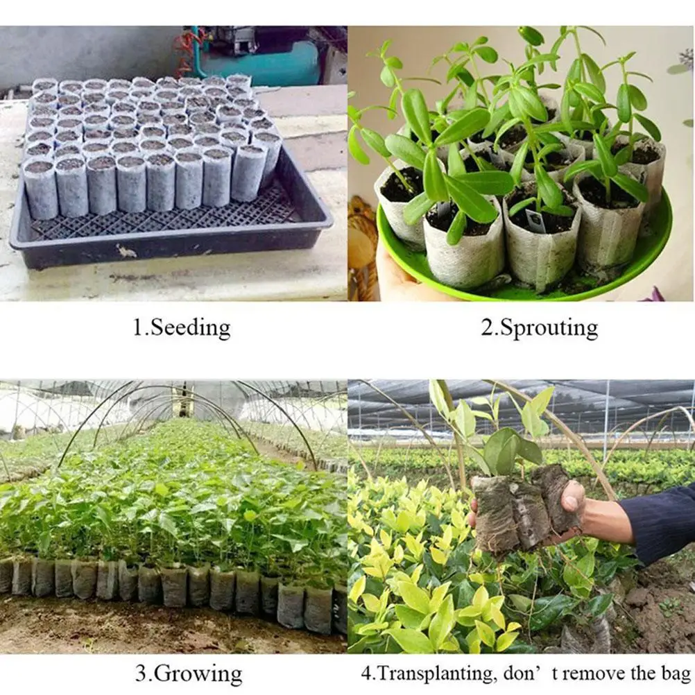 200 Pcs Nursery Bags Plant Grow Fabric Pots Eco Friendly Biodegradable Garden Supplies Seedling Bags High Survival Rate Water
200 Pcs Nursery Bags Plant Grow Fabric Pots Eco Friendly Biodegradable Garden Supplies Seedling Bags High Survival Rate Water