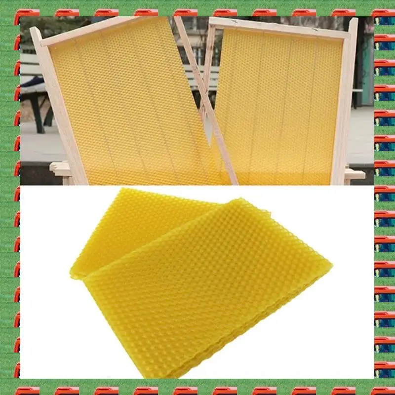Beeswax Sheets Kit Natural Beeswax Sheets Kit Beeswax Honeycomb Sheets Wax For Beekeeping Equipment (13.3 X 9Cm) 10PCS
Beeswax Sheets Kit Natural Beeswax Sheets Kit Beeswax Honeycomb Sheets Wax For Beekeeping Equipment (13.3 X 9Cm) 10PCS