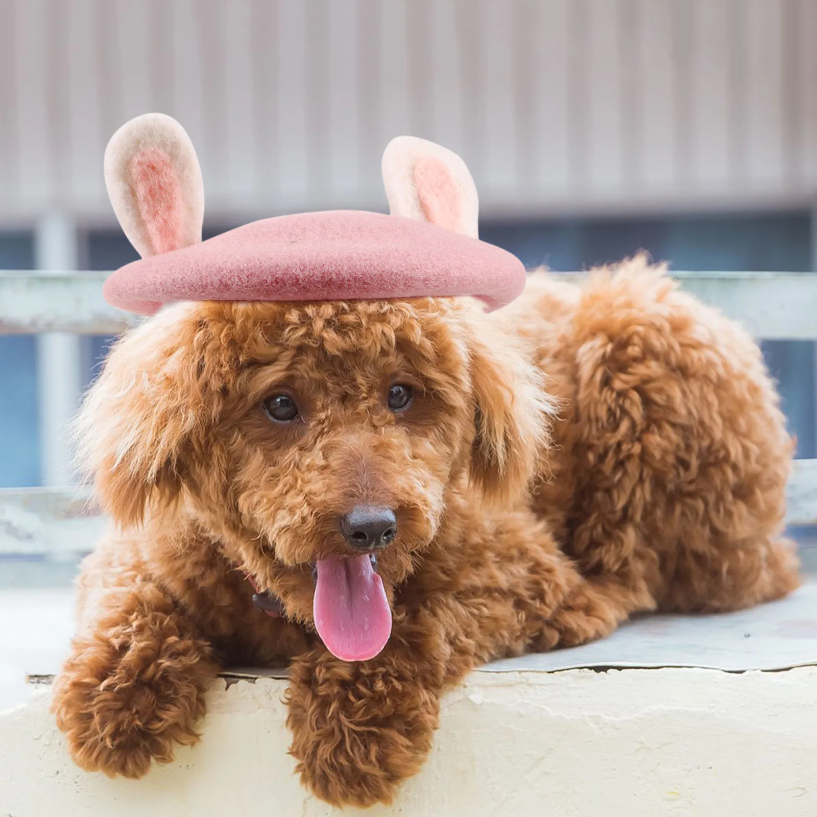 Pet Hat Cartoon Cat Beret for Parties Cosplay Holiday Fancy Dress Ball Pet Supply Comfortable Chic Long Serving Life
Pet Hat Cartoon Cat Beret for Parties Cosplay Holiday Fancy Dress Ball Pet Supply Comfortable Chic Long Serving Life