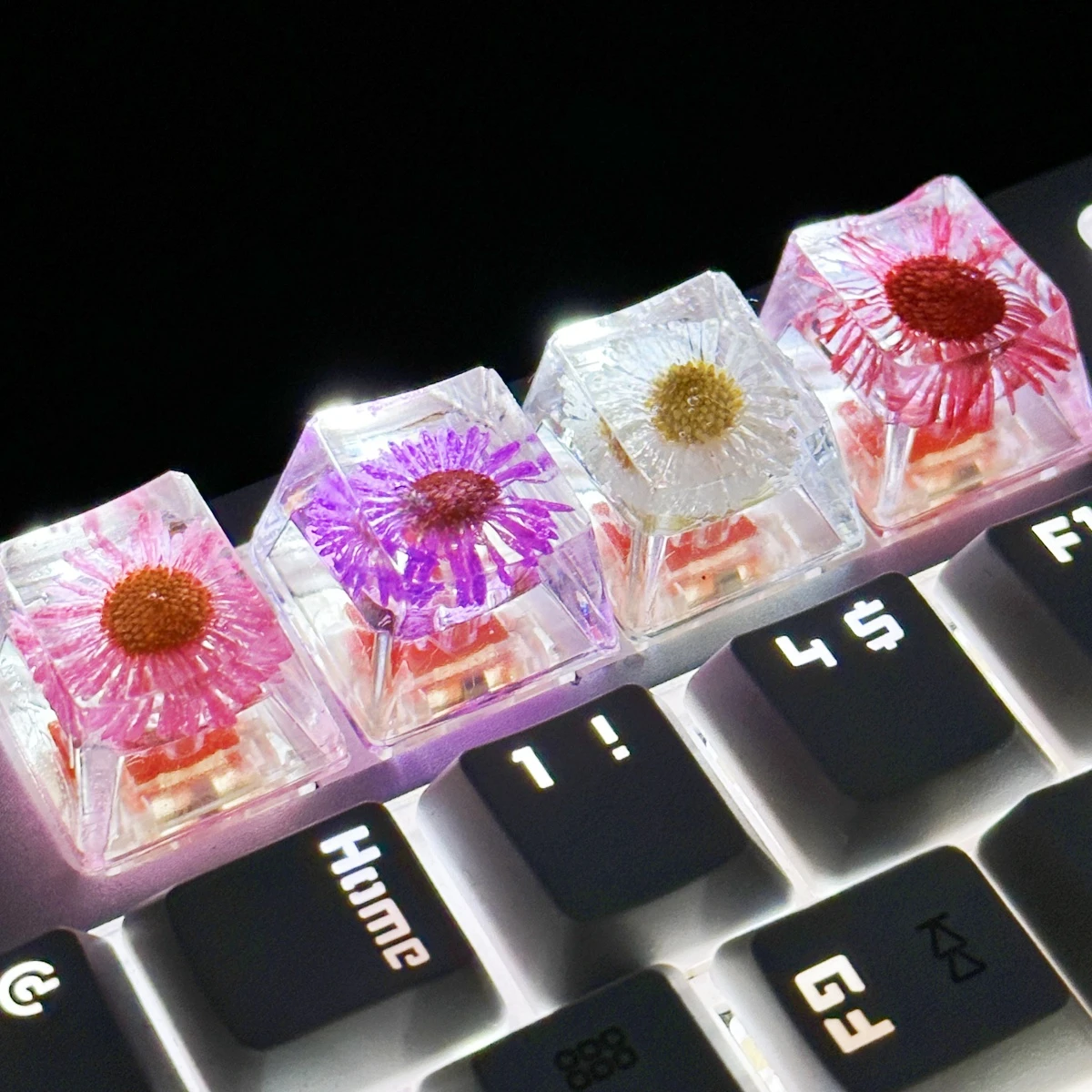 4PCS Chrysanthemum Mechanical Keyboard DIY Flowers Keycap Resin Computer Accessories
4PCS Chrysanthemum Mechanical Keyboard DIY Flowers Keycap Resin Computer Accessories