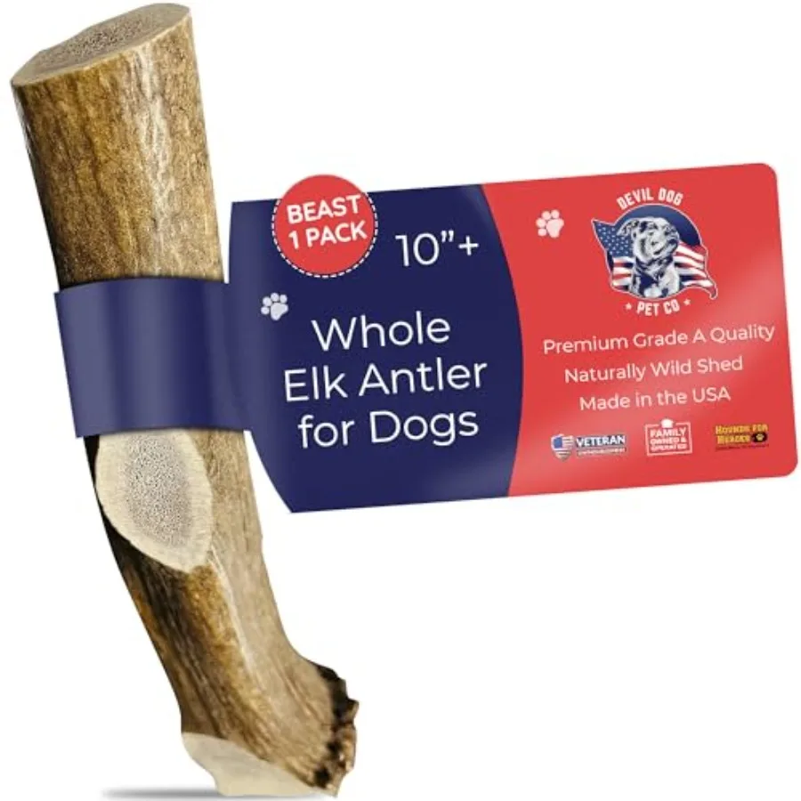 . Elk Antlers for Dogs Beast 10"+ 1 Pack Grade A Long Lasting Chew for Aggressive Chewers Premium USA Naturally Shed Antler Hea
. Elk Antlers for Dogs Beast 10"+ 1 Pack Grade A Long Lasting Chew for Aggressive Chewers Premium USA Naturally Shed Antler Hea
