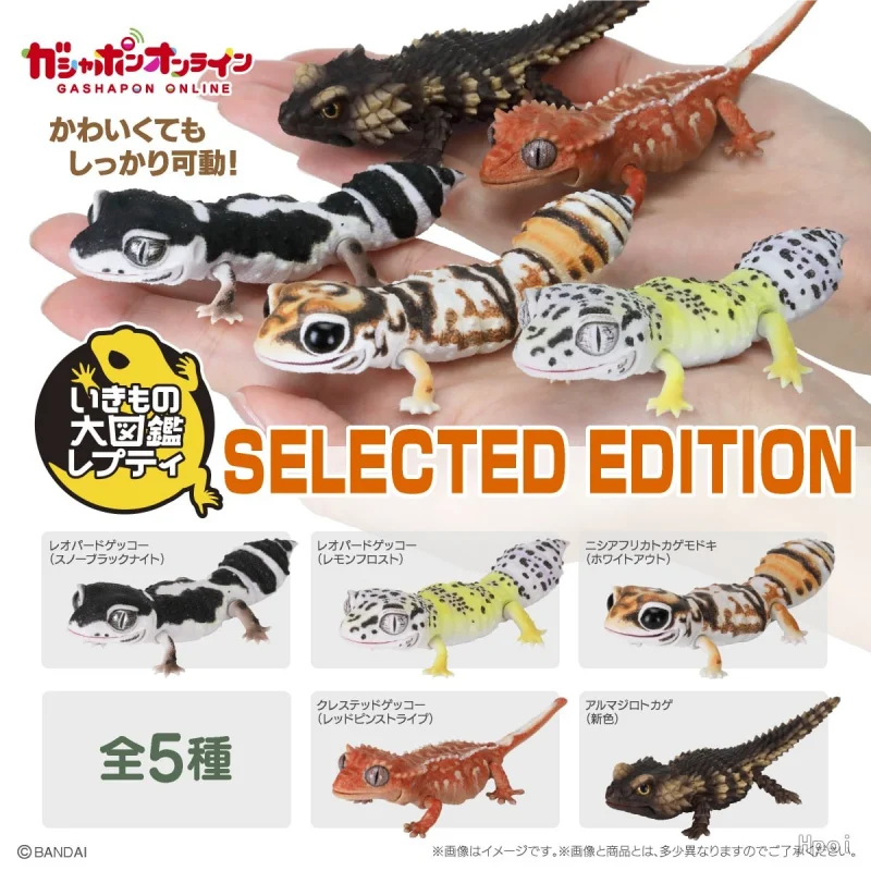 Bandai Original 5Pcs Gashapon The Diversity of Life on Earth セレクテッドエディション Toys For Kids Gift Collectible Model Ornaments
Bandai Original 5Pcs Gashapon The Diversity of Life on Earth セレクテッドエディション Toys For Kids Gift Collectible Model Ornaments