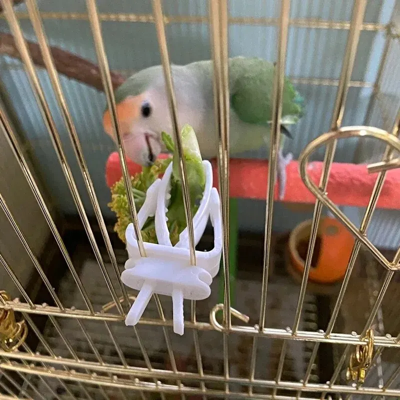 Cute Small Pet Bird Food Holder Parrot Fruits Vegetables Clip Cuttlefish Bone Feeder Device Clamp Bird Cage Accessories Oiseaux
Cute Small Pet Bird Food Holder Parrot Fruits Vegetables Clip Cuttlefish Bone Feeder Device Clamp Bird Cage Accessories Oiseaux