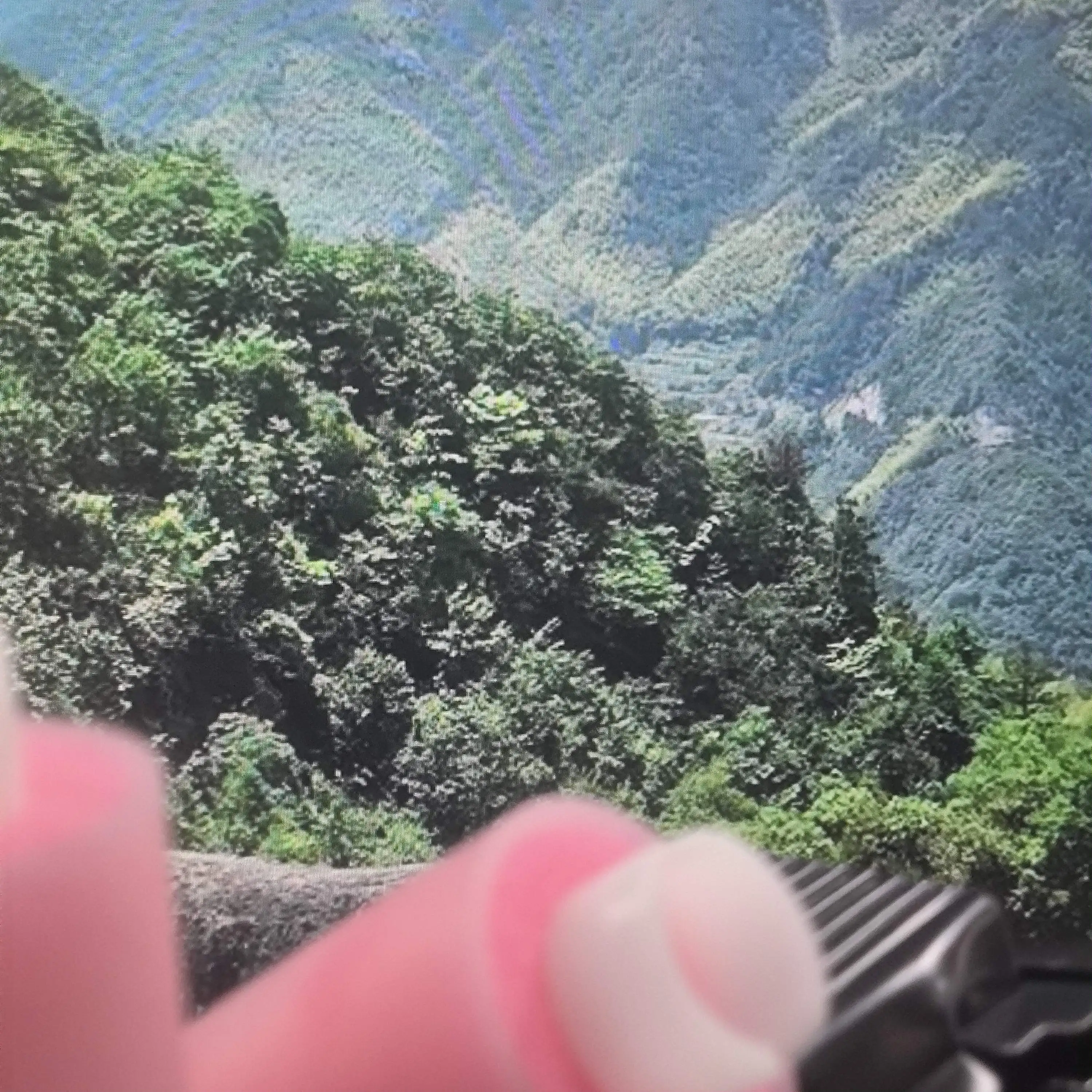 20Pcs Long Life Seperation Roller FC5-2528-000 For use in Canon ADV6055 6065 6075 6255 6265 6275 8105 8095 8085 8205 8295 8505
20Pcs Long Life Seperation Roller FC5-2528-000 For use in Canon ADV6055 6065 6075 6255 6265 6275 8105 8095 8085 8205 8295 8505