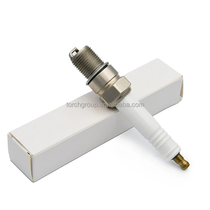 Engine Spark Plug Replace Champion FB78WPN
Engine Spark Plug Replace Champion FB78WPN