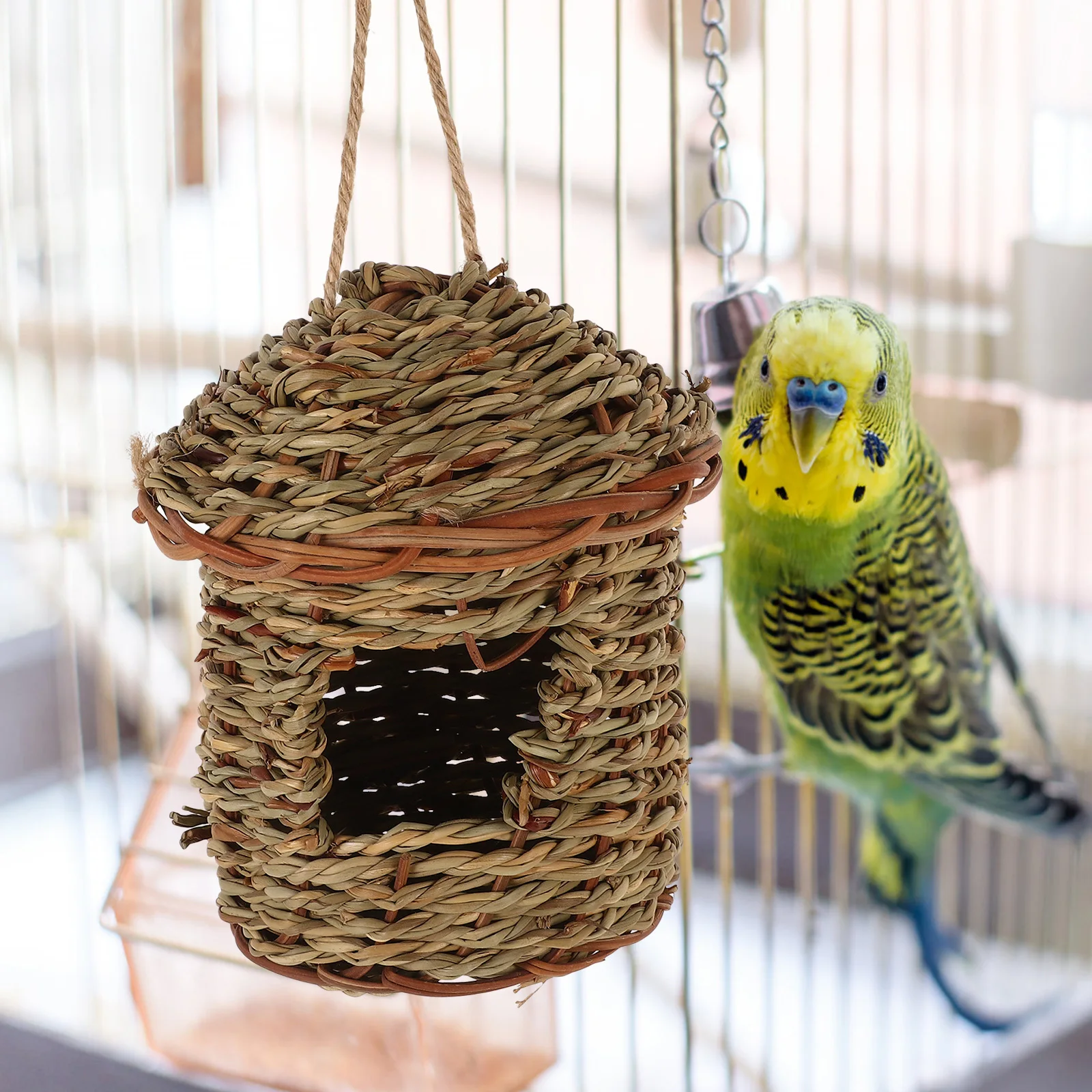 Hand Woven Grass Bird Nest Breathable Comfortable Natural Bird House for Parrot Dove Quail Cage Outdoor Hanging Birdhouse Decor
Hand Woven Grass Bird Nest Breathable Comfortable Natural Bird House for Parrot Dove Quail Cage Outdoor Hanging Birdhouse Decor