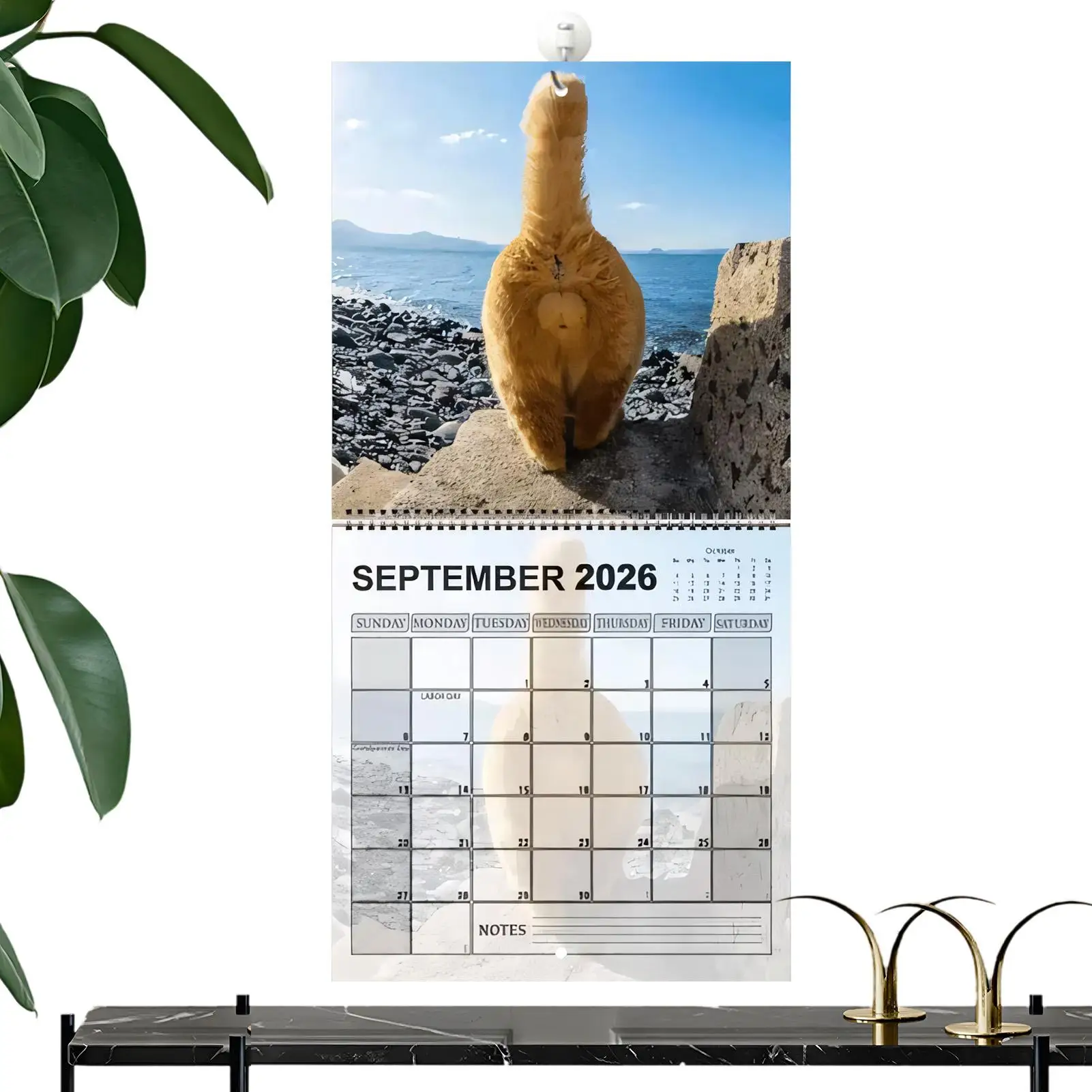 2026 Calendar Cat 12 Monthly Wall Calendar 2026 Scheduling Tool Family Planner Organizer For Fridge Desk Kitchen Living Room
2026 Calendar Cat 12 Monthly Wall Calendar 2026 Scheduling Tool Family Planner Organizer For Fridge Desk Kitchen Living Room