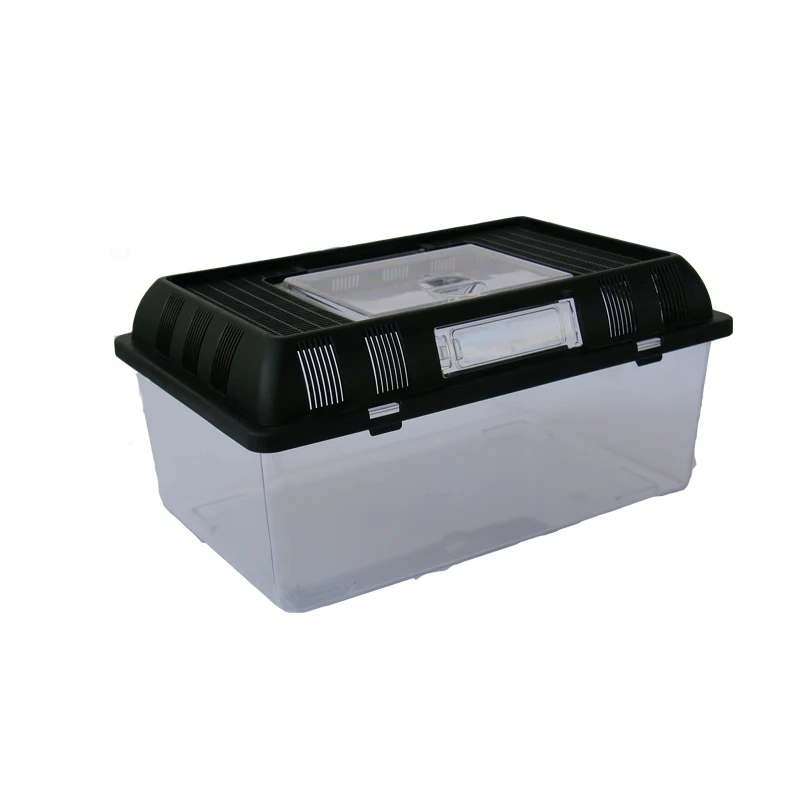 Cheap pet portable plastic box tortoise feeding box turtle tank reptile tank goldfish bowl with handle Cheap pet portable plasti
Cheap pet portable plastic box tortoise feeding box turtle tank reptile tank goldfish bowl with handle Cheap pet portable plasti