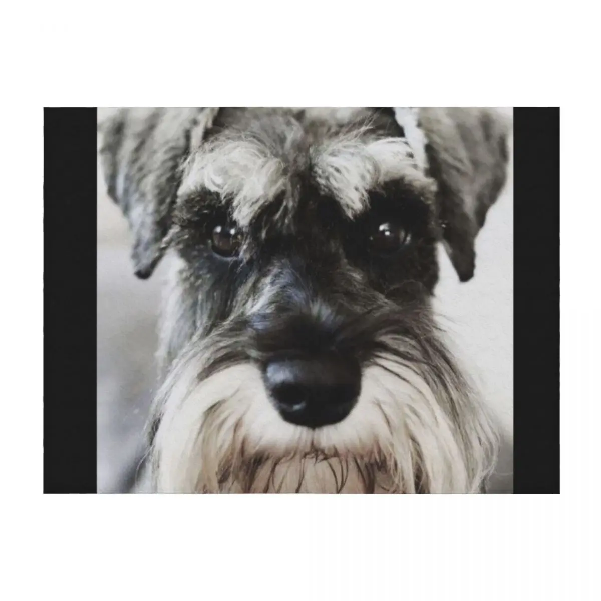 Schnauzer dog full face pets dogs cute puppy Throw Blanket Decorative Sofa Quilt Bed covers christmas decoration Blankets
Schnauzer dog full face pets dogs cute puppy Throw Blanket Decorative Sofa Quilt Bed covers christmas decoration Blankets