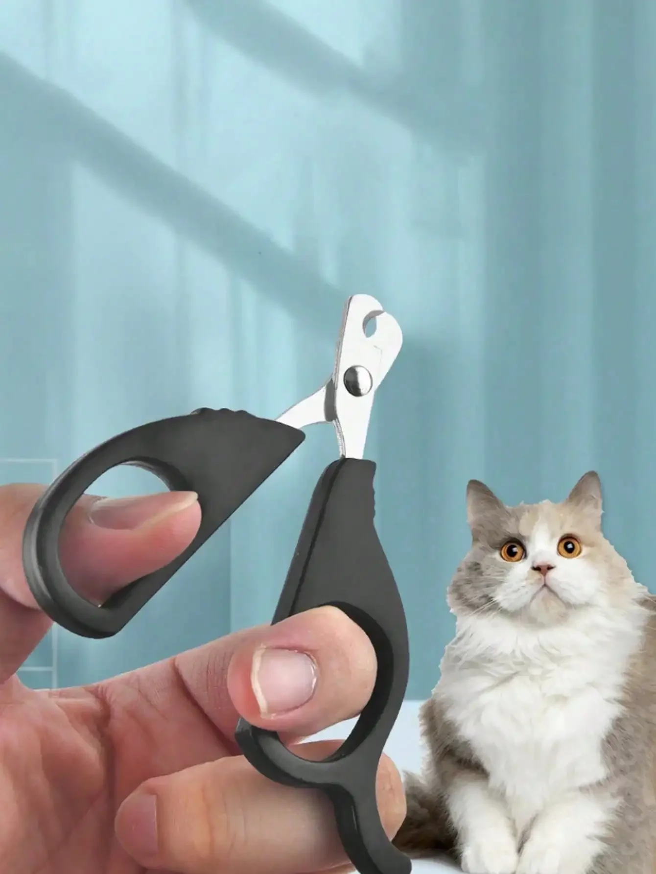 1pc Random Color Pet Nail Clippers, Stainless Steel Cat Dog Nail Trimmer Kit, Pet Grooming Nail Clipper
1pc Random Color Pet Nail Clippers, Stainless Steel Cat Dog Nail Trimmer Kit, Pet Grooming Nail Clipper