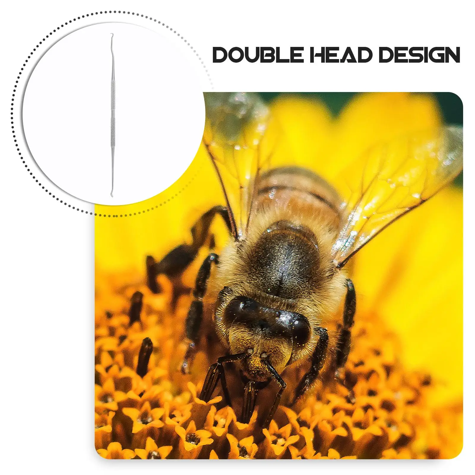 2Pcs Stainless Steel Grafting Needles Double Head Beekeeping Tools Insect Transfer Supplies Lightweight Durable BeeMoving
2Pcs Stainless Steel Grafting Needles Double Head Beekeeping Tools Insect Transfer Supplies Lightweight Durable BeeMoving