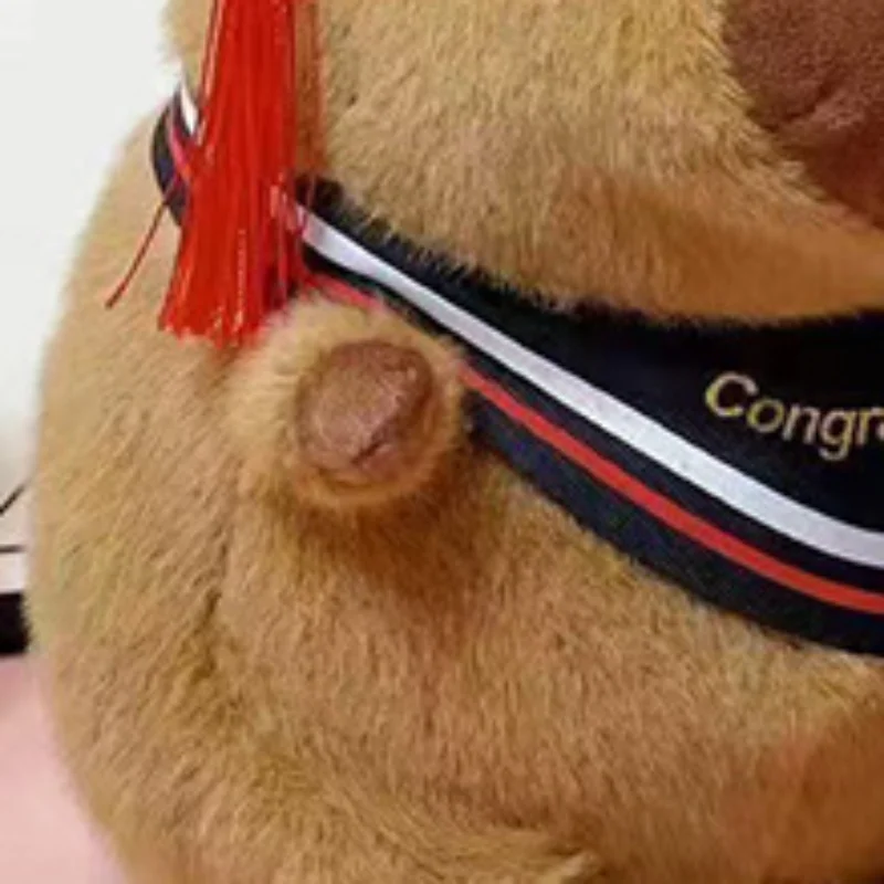 Плюшевая игрушка Капибара в шапке доктора, 23 см, милая плюшевая кукла-выпускница, мягкая игрушка-подвеска, мультяшная подушка, подарок на выпускной
Плюшевая игрушка Капибара в шапке доктора, 23 см, милая плюшевая кукла-выпускница, мягкая игрушка-подвеска, мультяшная подушка, подарок на выпускной