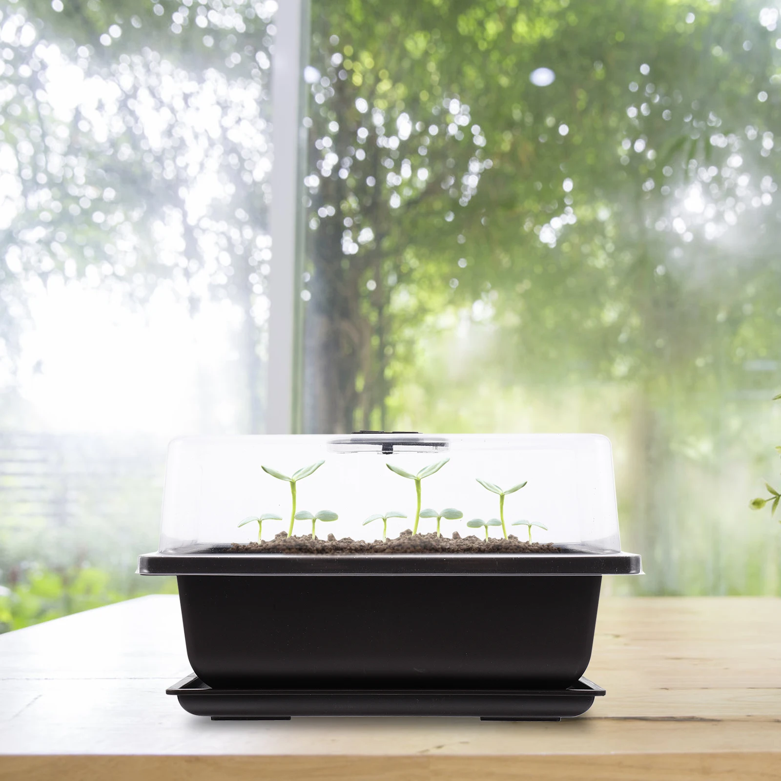 2 Sets Plants Seedling Pot Garden Supply Gardening Growing Tray Breeding Plastic Propagator Nursery
2 Sets Plants Seedling Pot Garden Supply Gardening Growing Tray Breeding Plastic Propagator Nursery