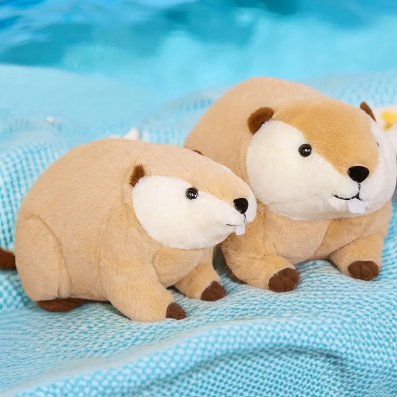 45/60 см пушистый бобер, крыса, плюшевые игрушки, кавайные мягкие куклы Nutria, имитация мультяшных животных, подушка, детские рождественские подарки
45/60 см пушистый бобер, крыса, плюшевые игрушки, кавайные мягкие куклы Nutria, имитация мультяшных животных, подушка, детские рождественские подарки
