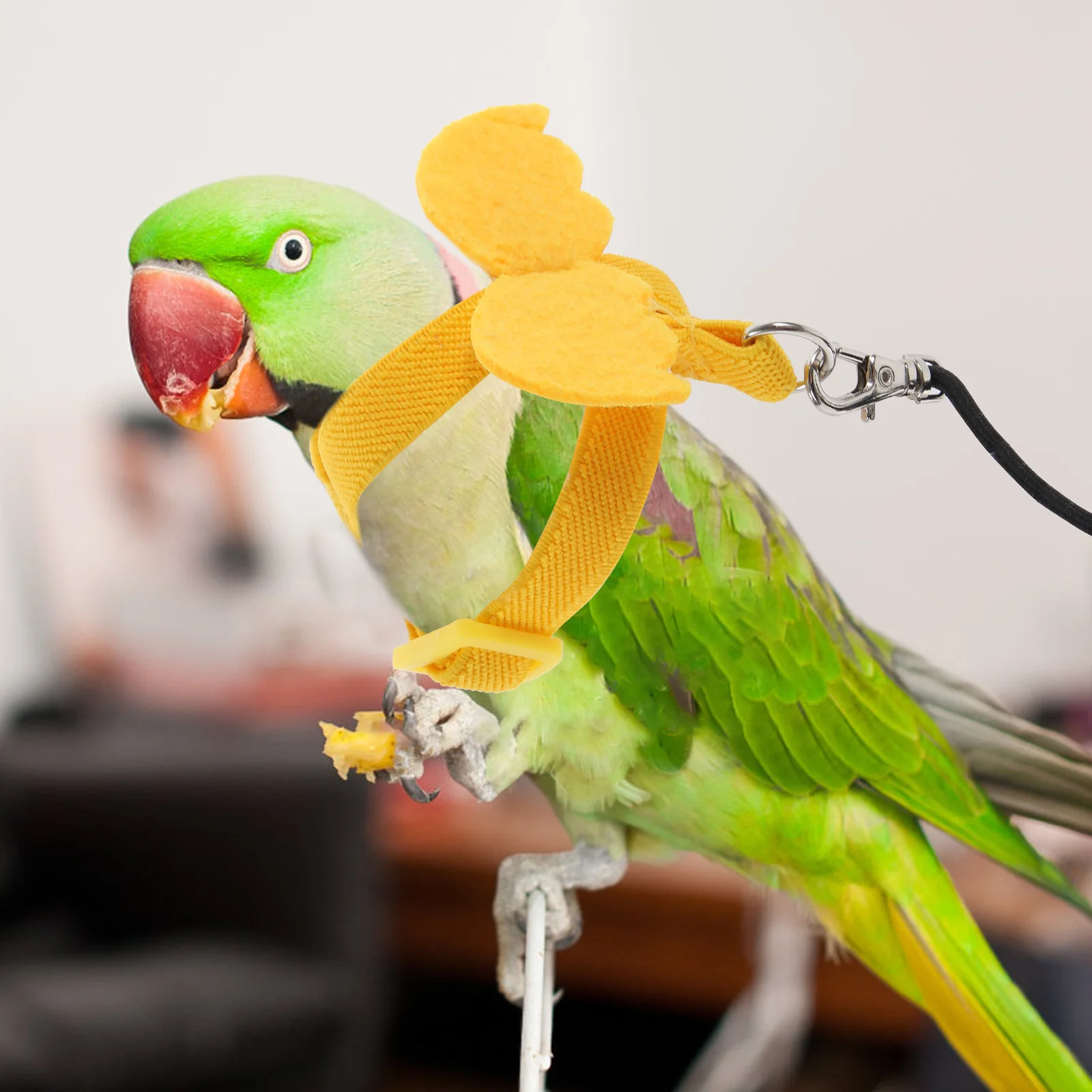 Parrot Harness Parakeet Leash Supplies Bird Accessory and Adjustable for Parrots Outdoor
Parrot Harness Parakeet Leash Supplies Bird Accessory and Adjustable for Parrots Outdoor
