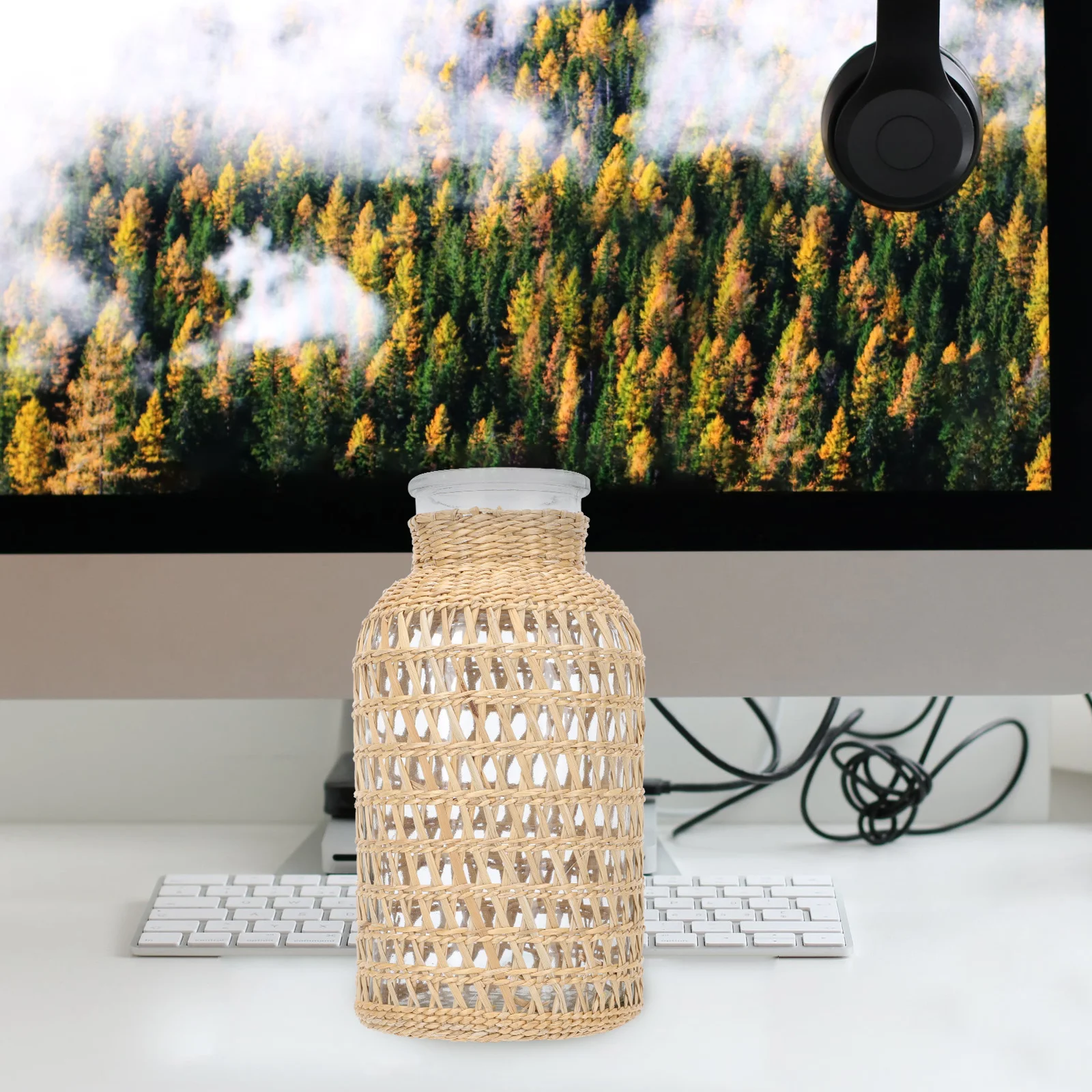 Rattan Glass Woven Flower Plant Decor Holder Home Container Unique Hydroponic Bottle Rattan Vase Glass Vase HomeDecoration
Rattan Glass Woven Flower Plant Decor Holder Home Container Unique Hydroponic Bottle Rattan Vase Glass Vase HomeDecoration