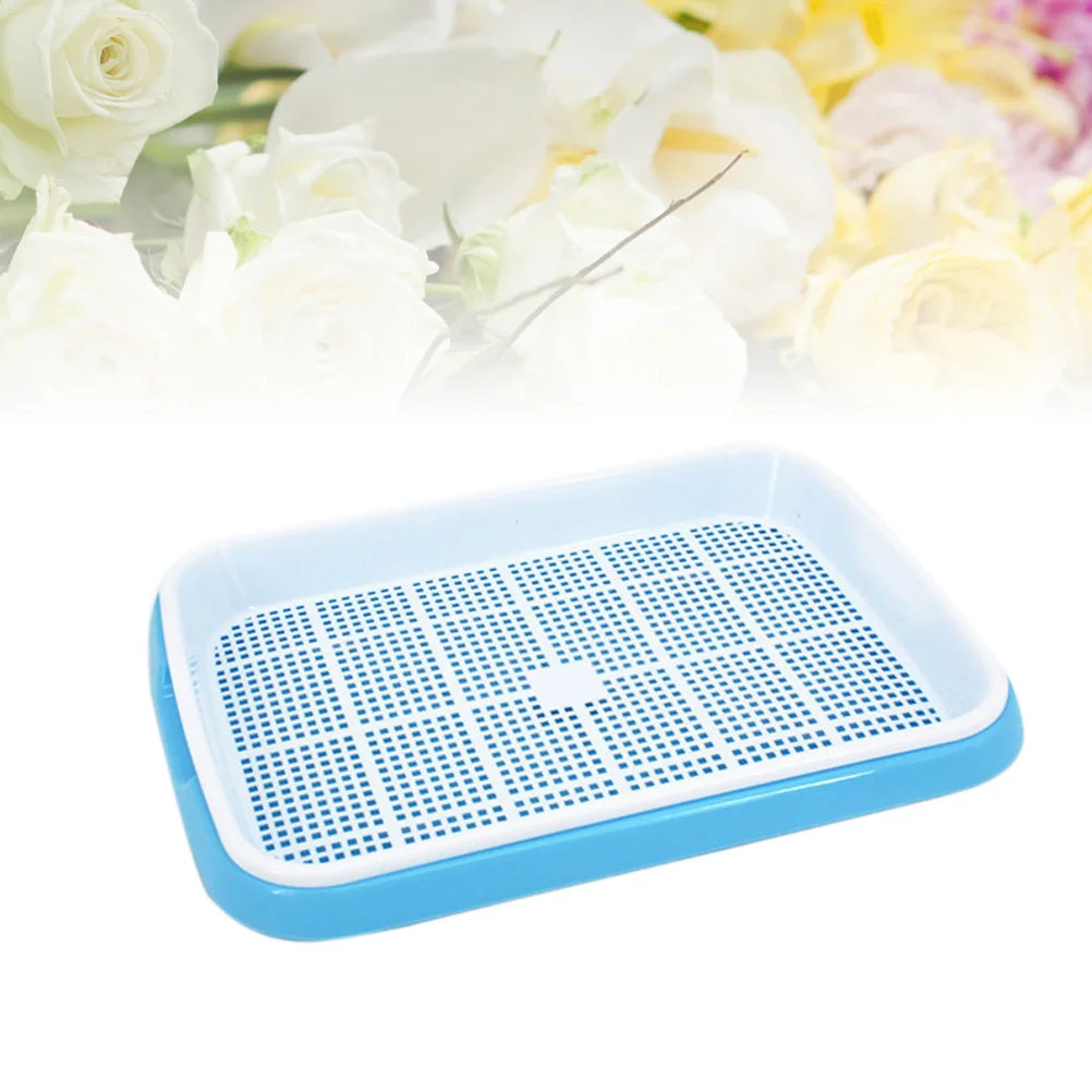 Premium Sprouter Tray Set Sky-Blue PP Material Soil-Free Healthy Growing Trays for Wheatgrass Vegetables Storage
Premium Sprouter Tray Set Sky-Blue PP Material Soil-Free Healthy Growing Trays for Wheatgrass Vegetables Storage