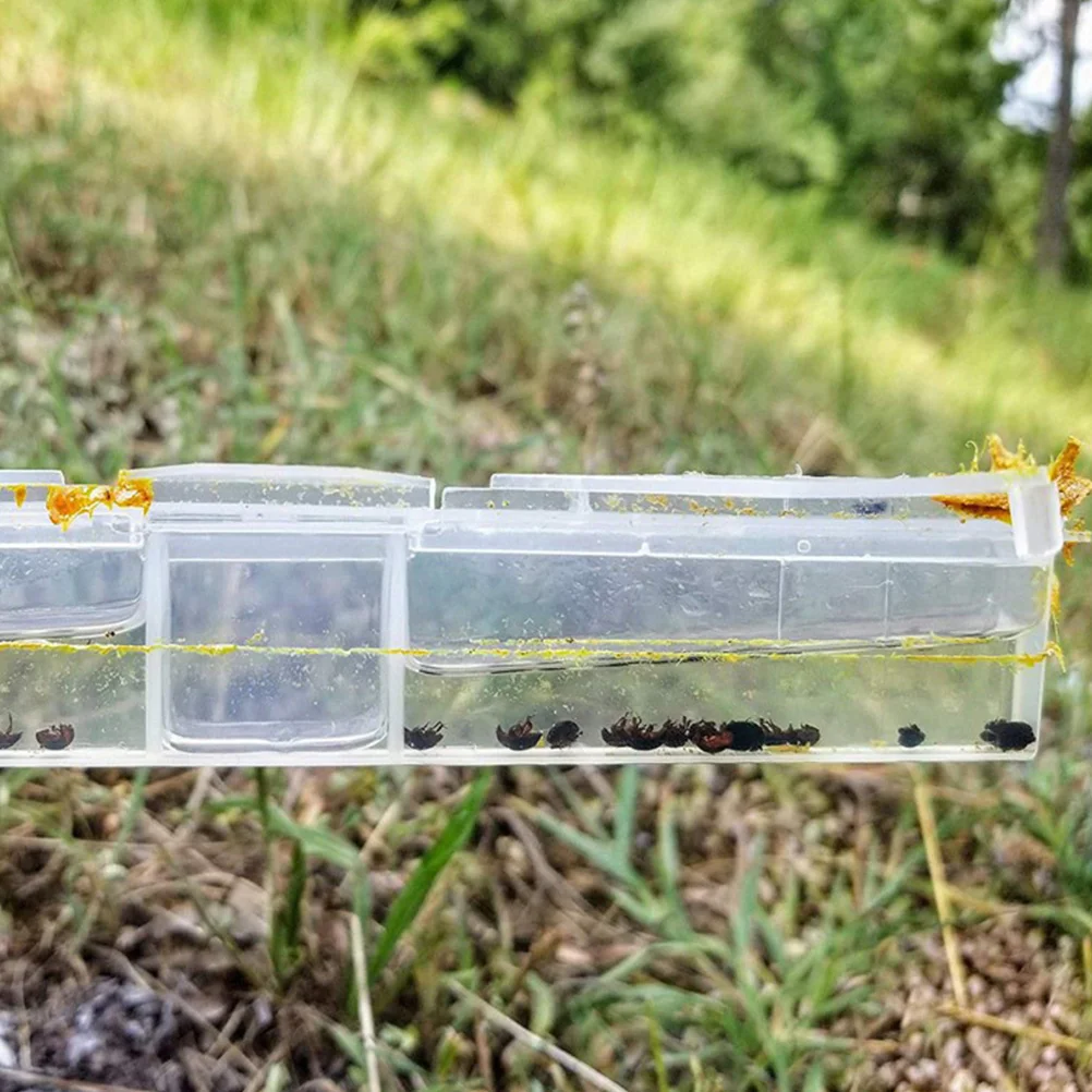 6pcs Beetle Collector Small Transparent Plastic Hive Traps Reusable Beekeeping Supplies Tools Frame Fits Box Gardening 
6pcs Beetle Collector Small Transparent Plastic Hive Traps Reusable Beekeeping Supplies Tools Frame Fits Box Gardening