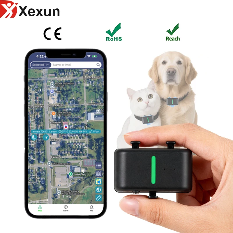 2026 Xexun P01 Cat M NB-IoT двухчастотный мини-GPS-трекер для домашних животных, водонепроницаемый GPS-трекер для кошек и собак
2026 Xexun P01 Cat M NB-IoT двухчастотный мини-GPS-трекер для домашних животных, водонепроницаемый GPS-трекер для кошек и собак