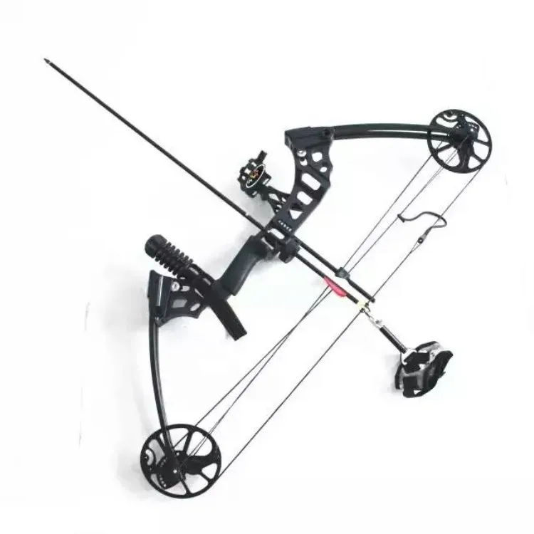 high quality titanium alloy bow arrow outdoor hunting pro compound stainless slingshot gewehr
high quality titanium alloy bow arrow outdoor hunting pro compound stainless slingshot gewehr
