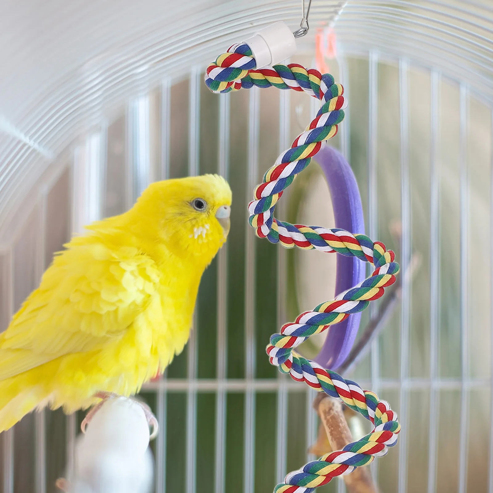 Colorful Bird Rope Perch 100Cm Spiral Cotton Parrot Stand Swing Soft Chewable Ladder For Cage Accessories Foraging Play -
Colorful Bird Rope Perch 100Cm Spiral Cotton Parrot Stand Swing Soft Chewable Ladder For Cage Accessories Foraging Play -