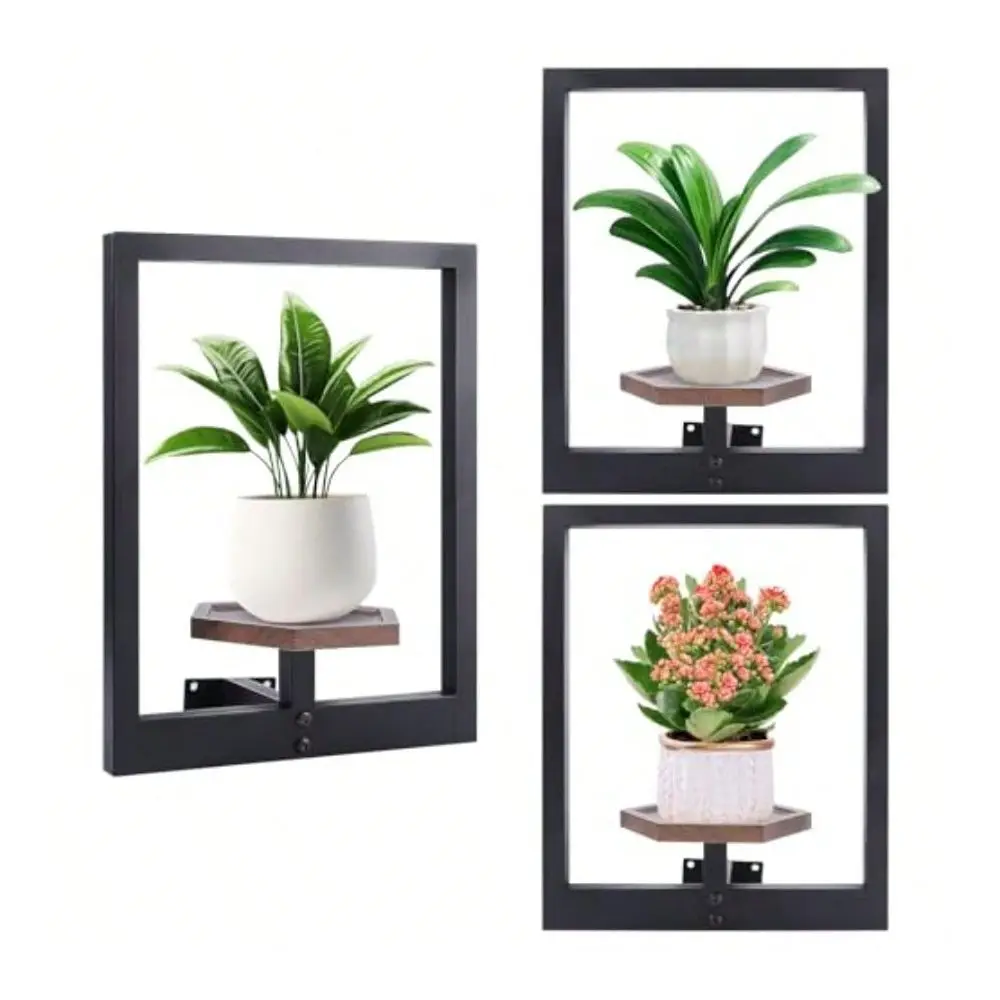 Pack Wall Planters For Indoor PlantsWooden Plant Shelves With Raised Edges Window Plant Holders Plant Stand Indoor Wall Decor H
Pack Wall Planters For Indoor PlantsWooden Plant Shelves With Raised Edges Window Plant Holders Plant Stand Indoor Wall Decor H