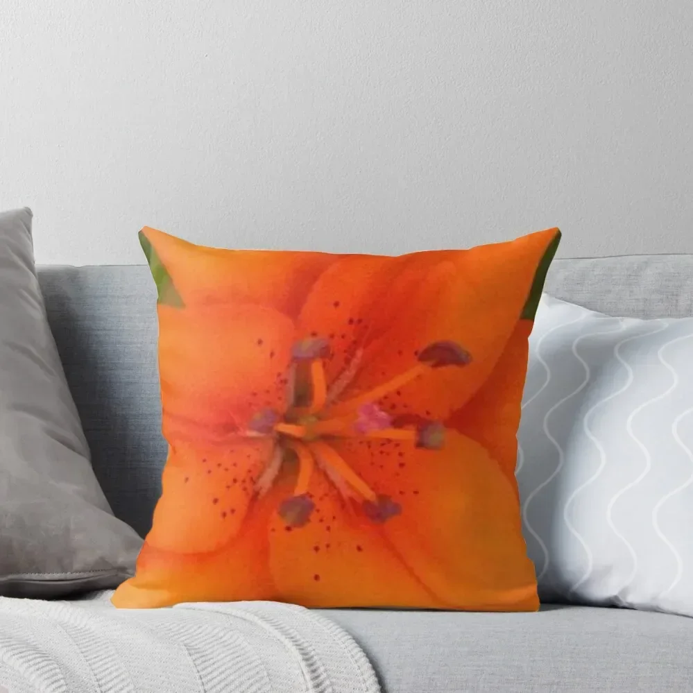 Orange Lily Photograph Throw Pillow Sofa Cushions Christmas Pillows New year pillow
Orange Lily Photograph Throw Pillow Sofa Cushions Christmas Pillows New year pillow