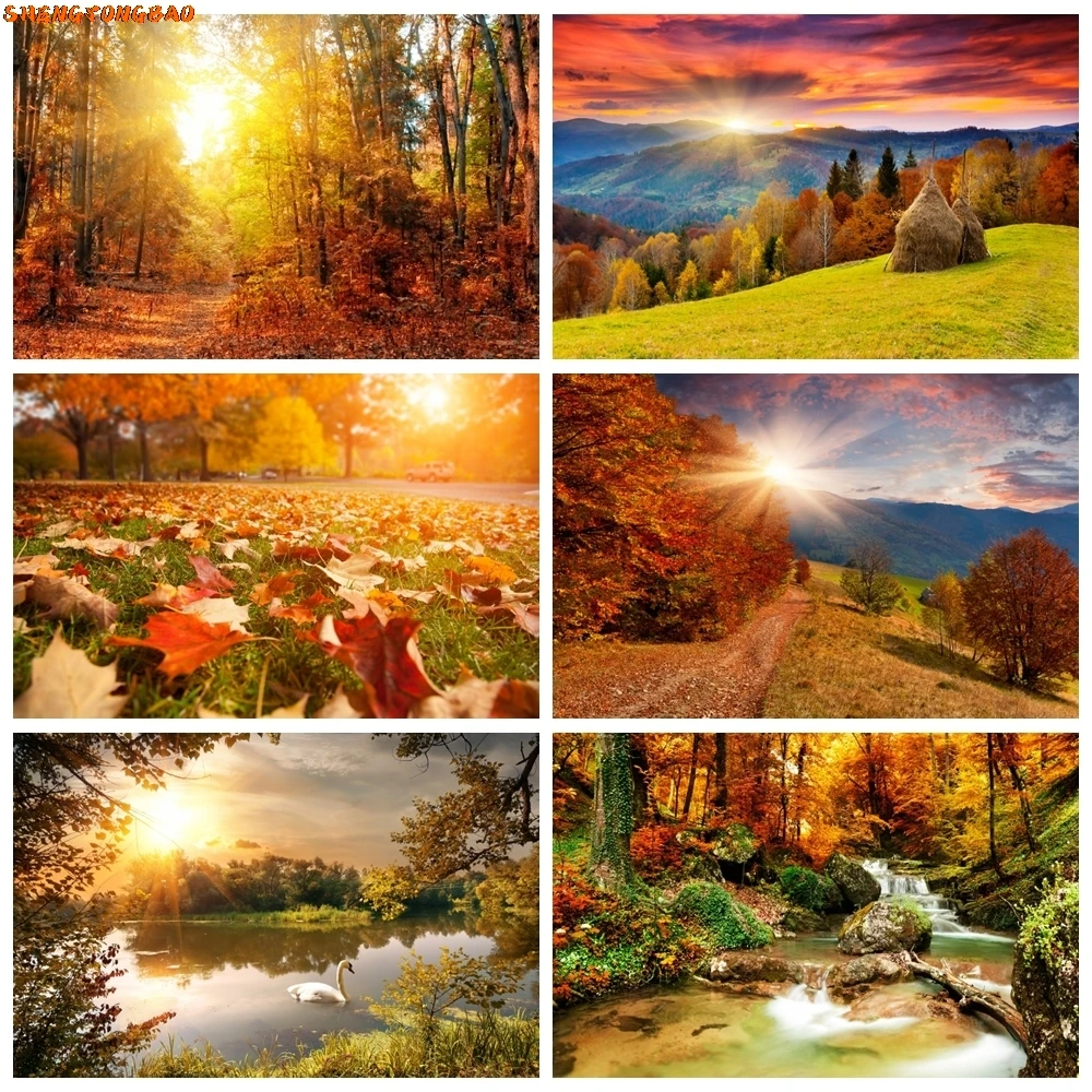 Autumn Scenery Backdrop for Photography Fall Forest Maple Fallen Leaves Tree Sunshine River Natural Baby Photo Background Decor
Autumn Scenery Backdrop for Photography Fall Forest Maple Fallen Leaves Tree Sunshine River Natural Baby Photo Background Decor