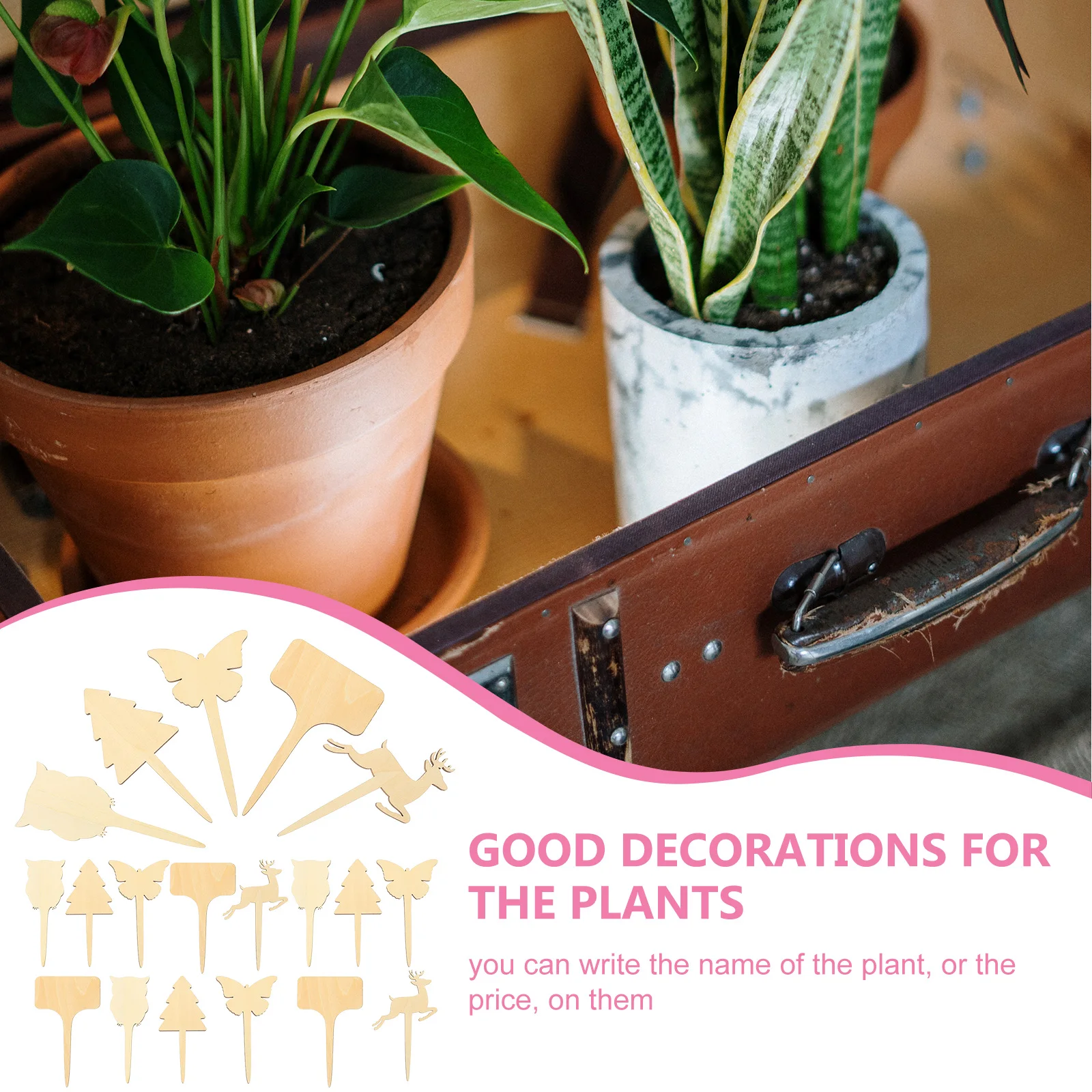 20 Pcs Water Proof Gardening Label Plant Nursery Bamboo Vegetable Markers Flower
20 Pcs Water Proof Gardening Label Plant Nursery Bamboo Vegetable Markers Flower