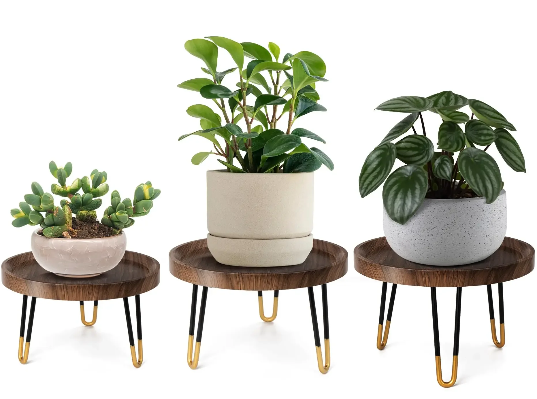 Mid Century Plant Stand Set 3pcs Walnut Wood Color Indoor Outdoor Modern Plant Table
Mid Century Plant Stand Set 3pcs Walnut Wood Color Indoor Outdoor Modern Plant Table