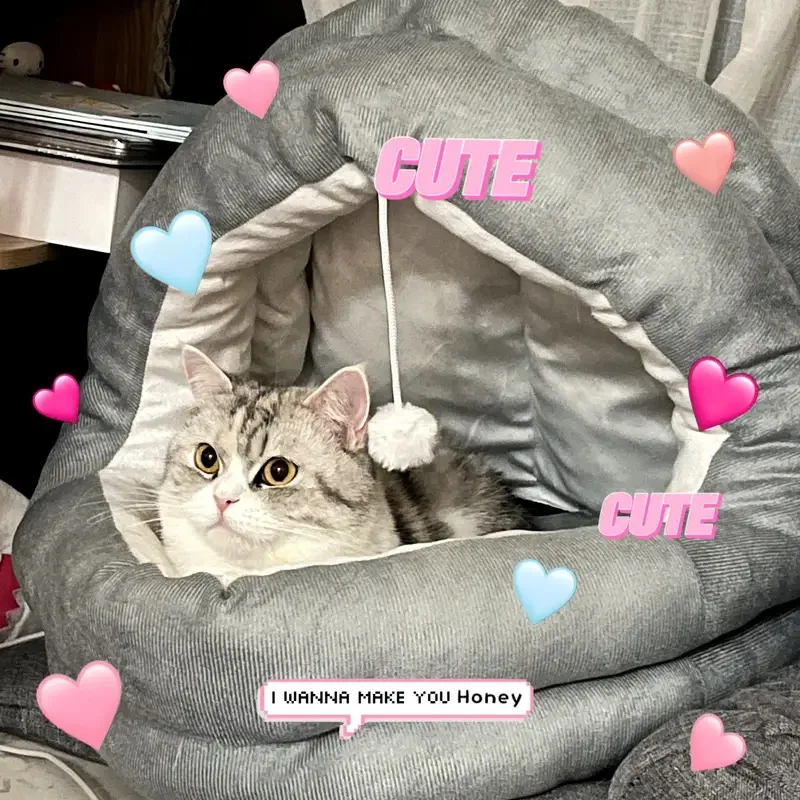 Cat Bed Pet Mattress Warm Soft Plush Pet Bed with Cover Round Cat Dog Sleeping Nest Cave for Small Dogs kitten
Cat Bed Pet Mattress Warm Soft Plush Pet Bed with Cover Round Cat Dog Sleeping Nest Cave for Small Dogs kitten