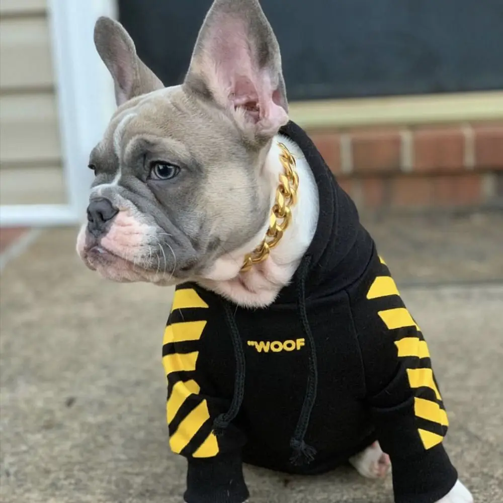 Fashion Stripe Pattern Pet Dog Hoodie Soft Comfortable Dog Thickened Sweatshirt Polyester Windproof Dog Hooded Pullover Autumn
Fashion Stripe Pattern Pet Dog Hoodie Soft Comfortable Dog Thickened Sweatshirt Polyester Windproof Dog Hooded Pullover Autumn