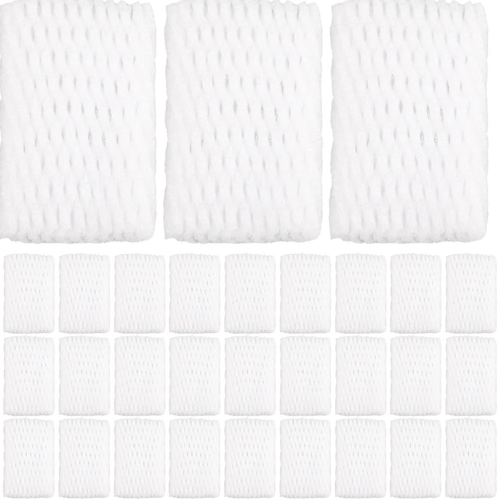 1200pcs Fruit Netting Bags Protective Mesh Sleeves for Strawberries Oranges Transport Shockproof Packing Grow Bag
1200pcs Fruit Netting Bags Protective Mesh Sleeves for Strawberries Oranges Transport Shockproof Packing Grow Bag