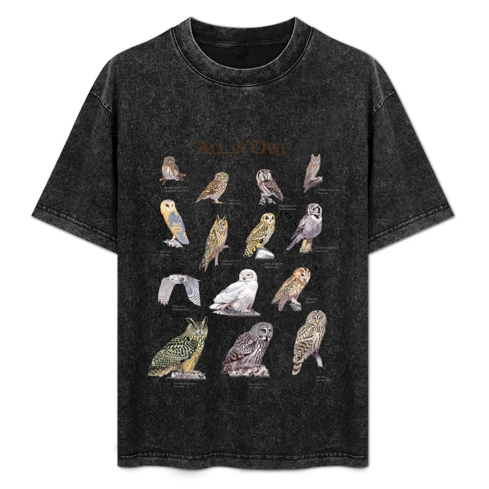 All in owl T-Shirt cute tops vintage graphic tee vintage t shirts tops vintage t shirt men
All in owl T-Shirt cute tops vintage graphic tee vintage t shirts tops vintage t shirt men