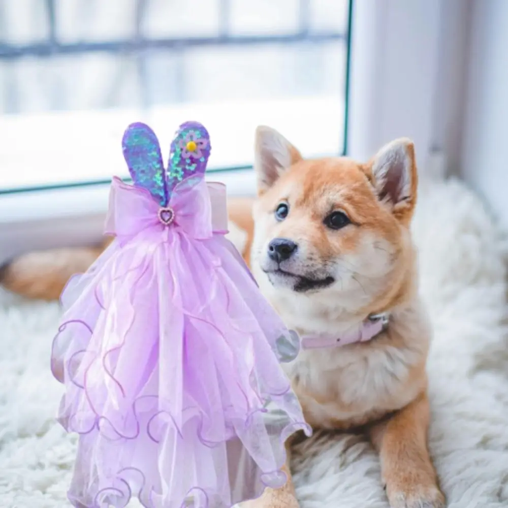Stylish Romantic Rabbit Puppy Veil Luxury Breathable Pet Headdress Beautiful Pet Clothing Pet Accessories
Stylish Romantic Rabbit Puppy Veil Luxury Breathable Pet Headdress Beautiful Pet Clothing Pet Accessories