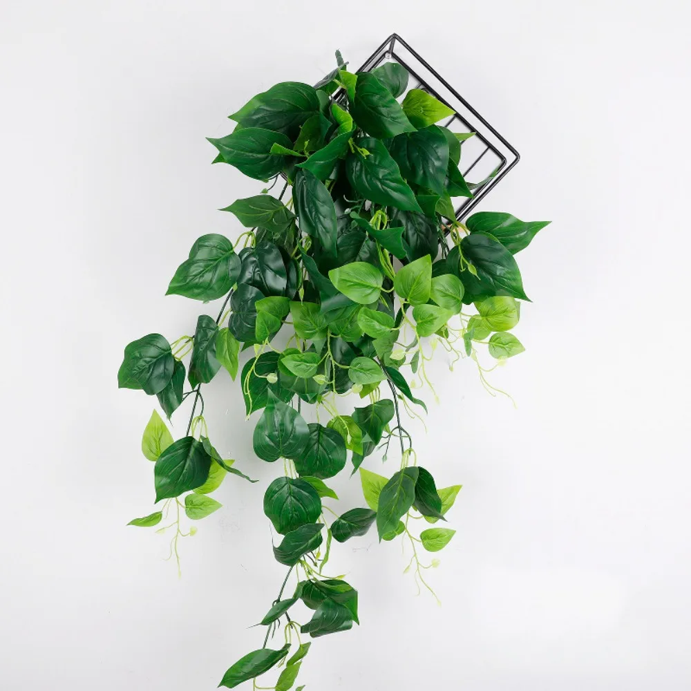 Plastic Fake Hanging Plants Handmade Artificial Realistic Vine Plants Decorative Lifelike Simulation Greenery Wall Decoration
Plastic Fake Hanging Plants Handmade Artificial Realistic Vine Plants Decorative Lifelike Simulation Greenery Wall Decoration