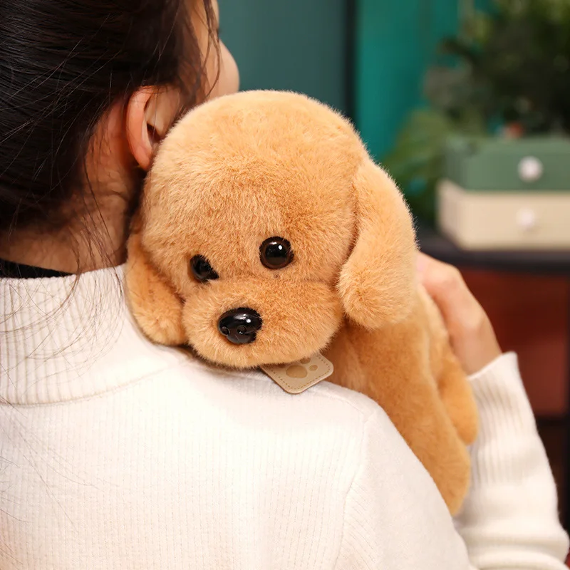 Милые плюшевые игрушки-щенки, мягкие плюшевые животные, пушистые куклы-собачки, креативный подарок на День святого Валентина для девочек, декор для дома в виде пуделя
Милые плюшевые игрушки-щенки, мягкие плюшевые животные, пушистые куклы-собачки, креативный подарок на День святого Валентина для девочек, декор для дома в виде пуделя