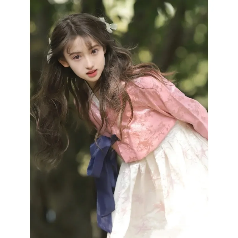Palace korean Traditional Costume for Women Elegant Luxury Hanbok Dress Princess Cosplay Anicent Retro Long Robe Wedding Party
Palace korean Traditional Costume for Women Elegant Luxury Hanbok Dress Princess Cosplay Anicent Retro Long Robe Wedding Party
