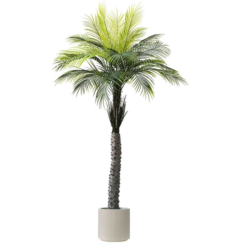 Coconut tree simulation green plant high-end light luxury potted plant indoor living room palm tree large sunflower plant
Coconut tree simulation green plant high-end light luxury potted plant indoor living room palm tree large sunflower plant