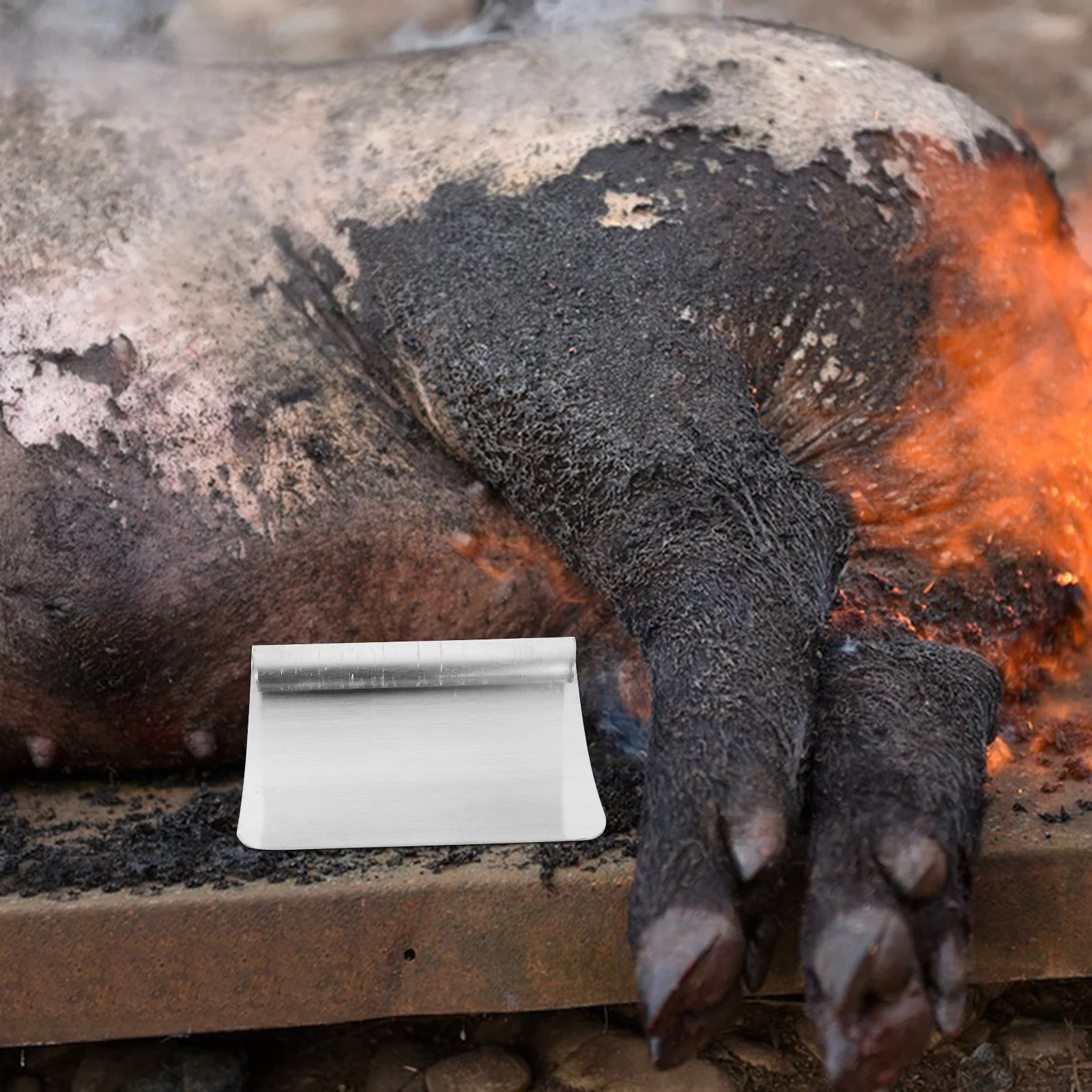 2pcs Stainless Steel Pig Scraper Manganese Steel Durable Animal Hair Shaving Tool For Kitchen Farm Home Use Pig
2pcs Stainless Steel Pig Scraper Manganese Steel Durable Animal Hair Shaving Tool For Kitchen Farm Home Use Pig