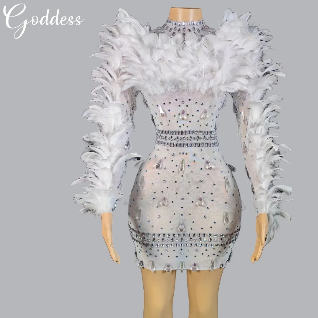 Sparkly Rhinestones Long sleeved Feathers Short Dress Birthday Party Dress Women Nightclub Stage Wear Performance Show Costume
Sparkly Rhinestones Long sleeved Feathers Short Dress Birthday Party Dress Women Nightclub Stage Wear Performance Show Costume
