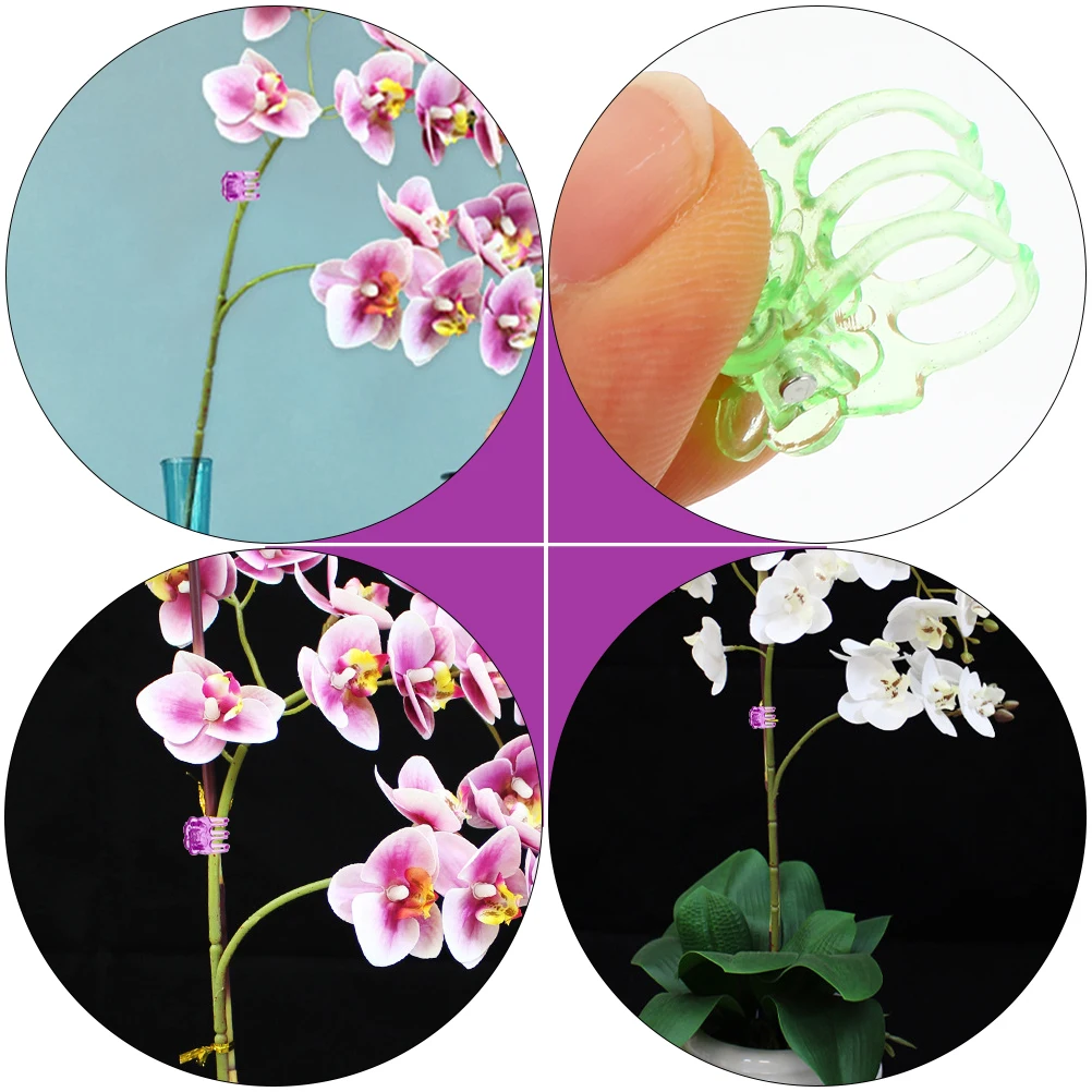 120Pcs Gardening Orchid Clips Plastic Flower Shaped Vines Support Clamps for Plant Fixation Durable Weatherproof Garden Plants 
120Pcs Gardening Orchid Clips Plastic Flower Shaped Vines Support Clamps for Plant Fixation Durable Weatherproof Garden Plants