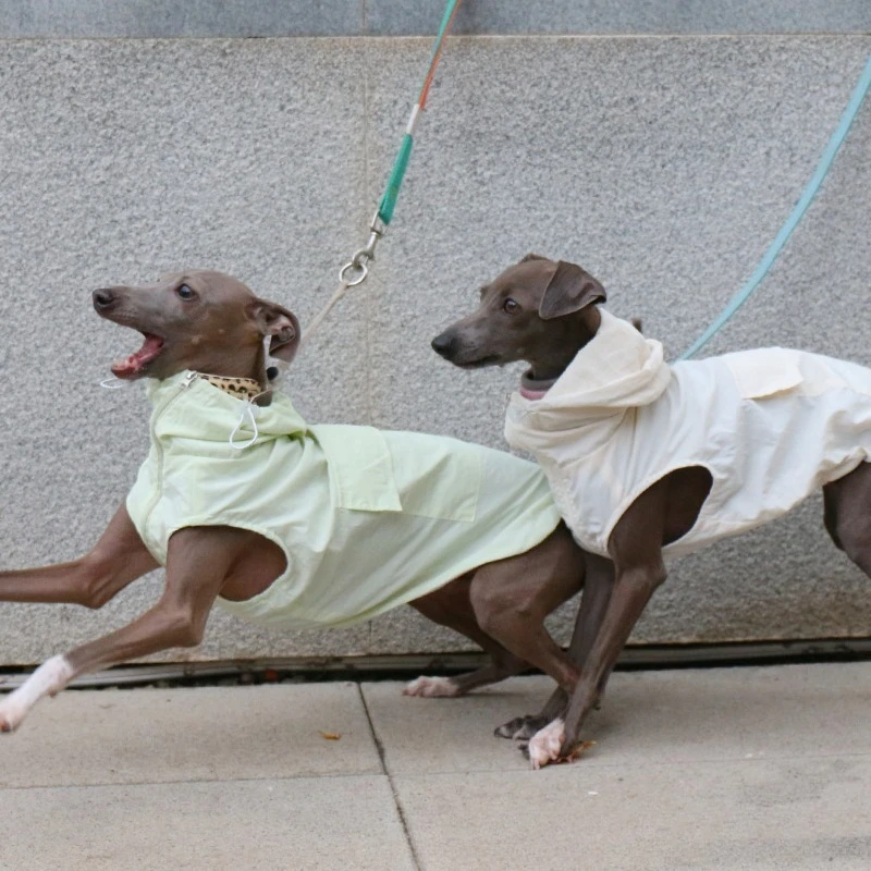 Italian Greyhound Dog Clothes Waterproof Sunscreen Dogs Vest Jumpsuit Hat Light Thin Outdoor Dogs Clothing Spring Summer Vests
Italian Greyhound Dog Clothes Waterproof Sunscreen Dogs Vest Jumpsuit Hat Light Thin Outdoor Dogs Clothing Spring Summer Vests